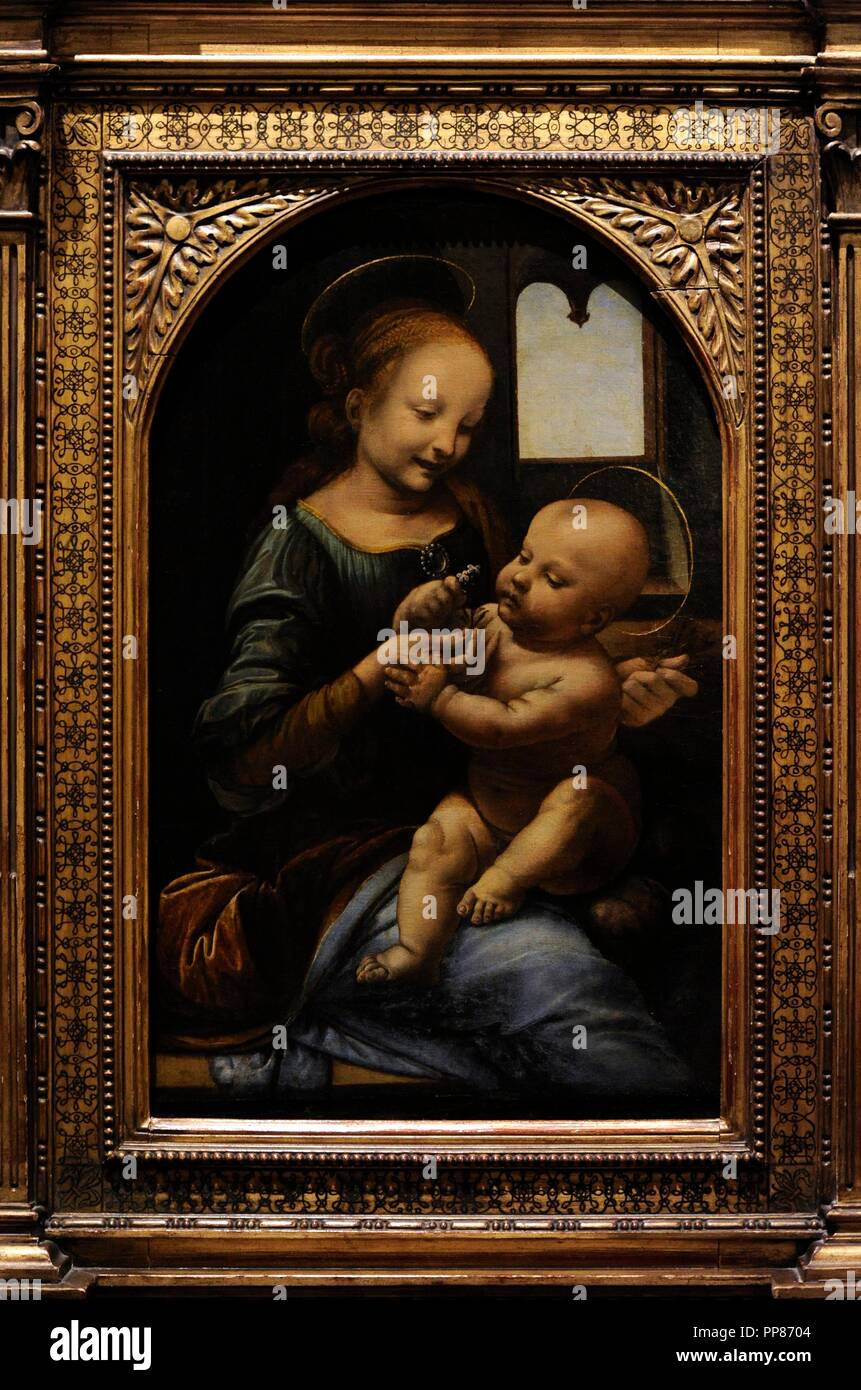 Leonardo da Vinci (1452-1519). Polymathe italien. Haute Renaissance. L'école florentine. Madonna et l'enfant (la Madonna Benois), 1478-1480. Oil on panel. Le Musée de l'Ermitage. Saint Petersburg. La Russie. Banque D'Images