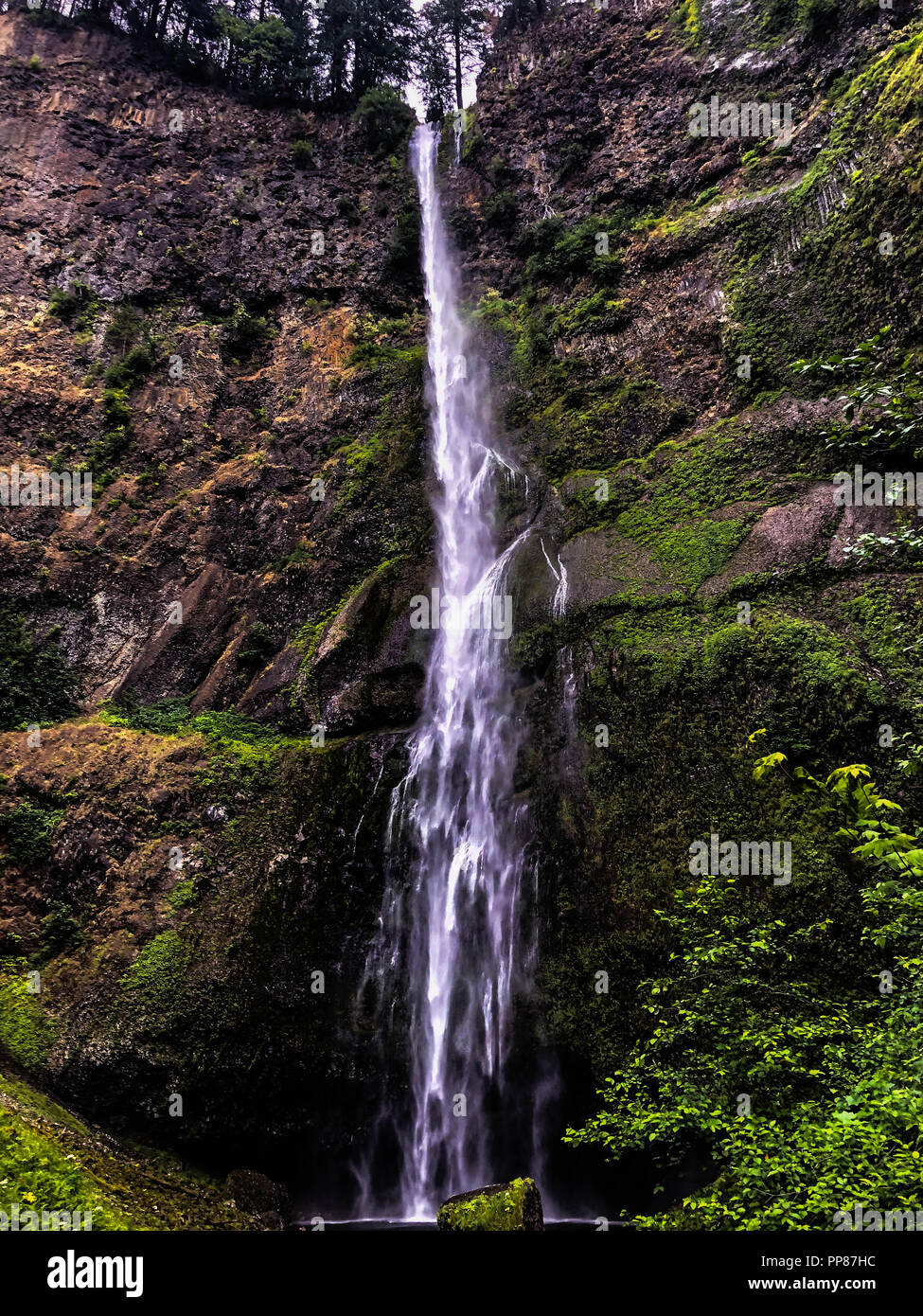 Multnomah Falls, Oregon Banque D'Images