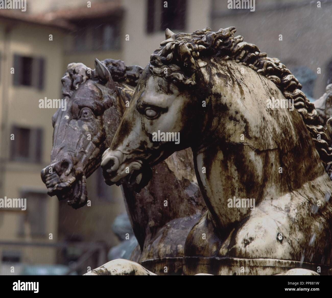 CABALLOS MARINOS - DETALLE DE LA FUENTE DE NEPTUNO - 1575 - MANIERISMO ITALIANO. Auteur : Bartolomeo Ammannati. Lieu : extérieur. Florenz. ITALIA. Banque D'Images