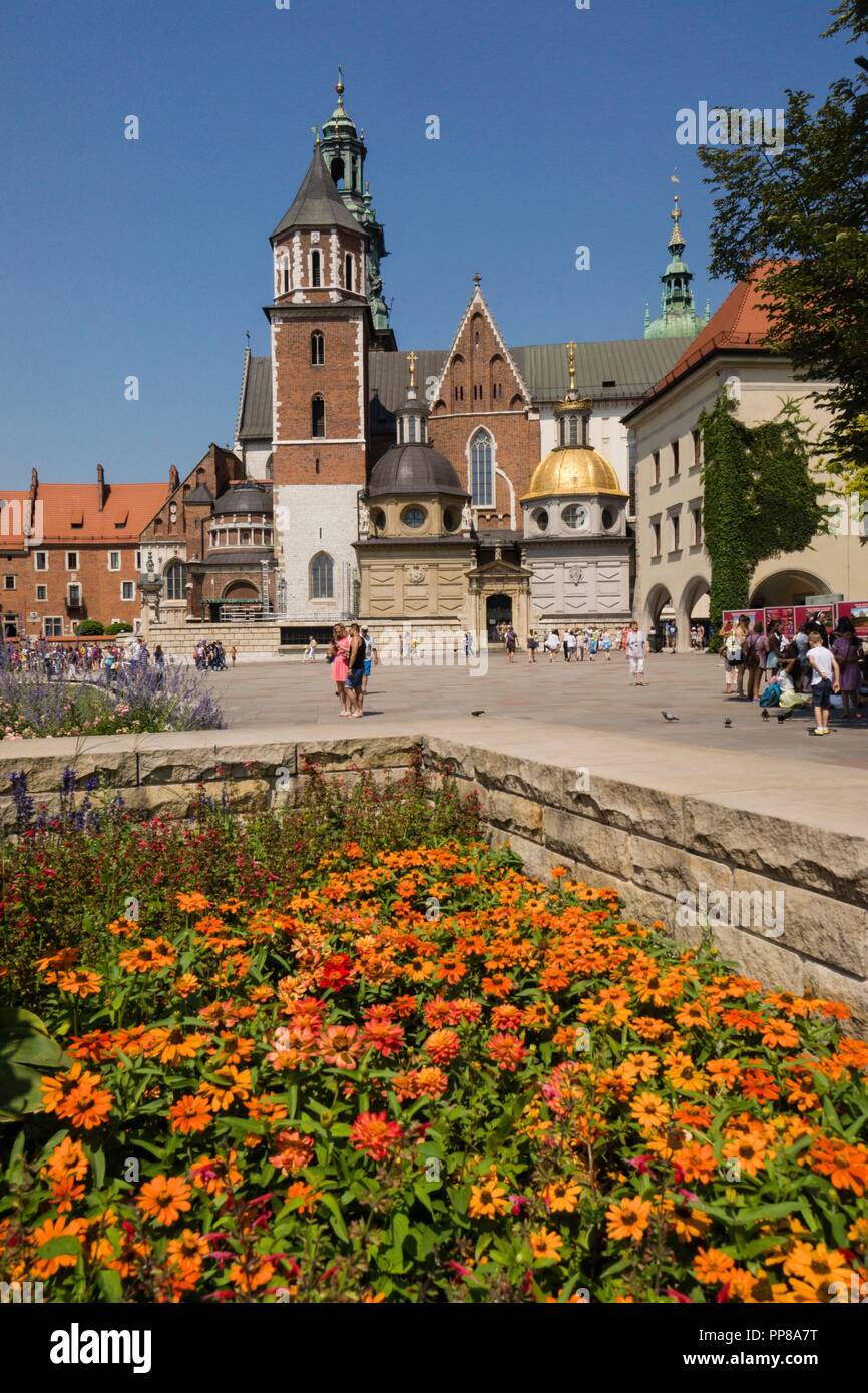 Cathédrale de Wawel, santuario nacional polaco, Cracovia, Polonia, Europe de l'Est. Banque D'Images