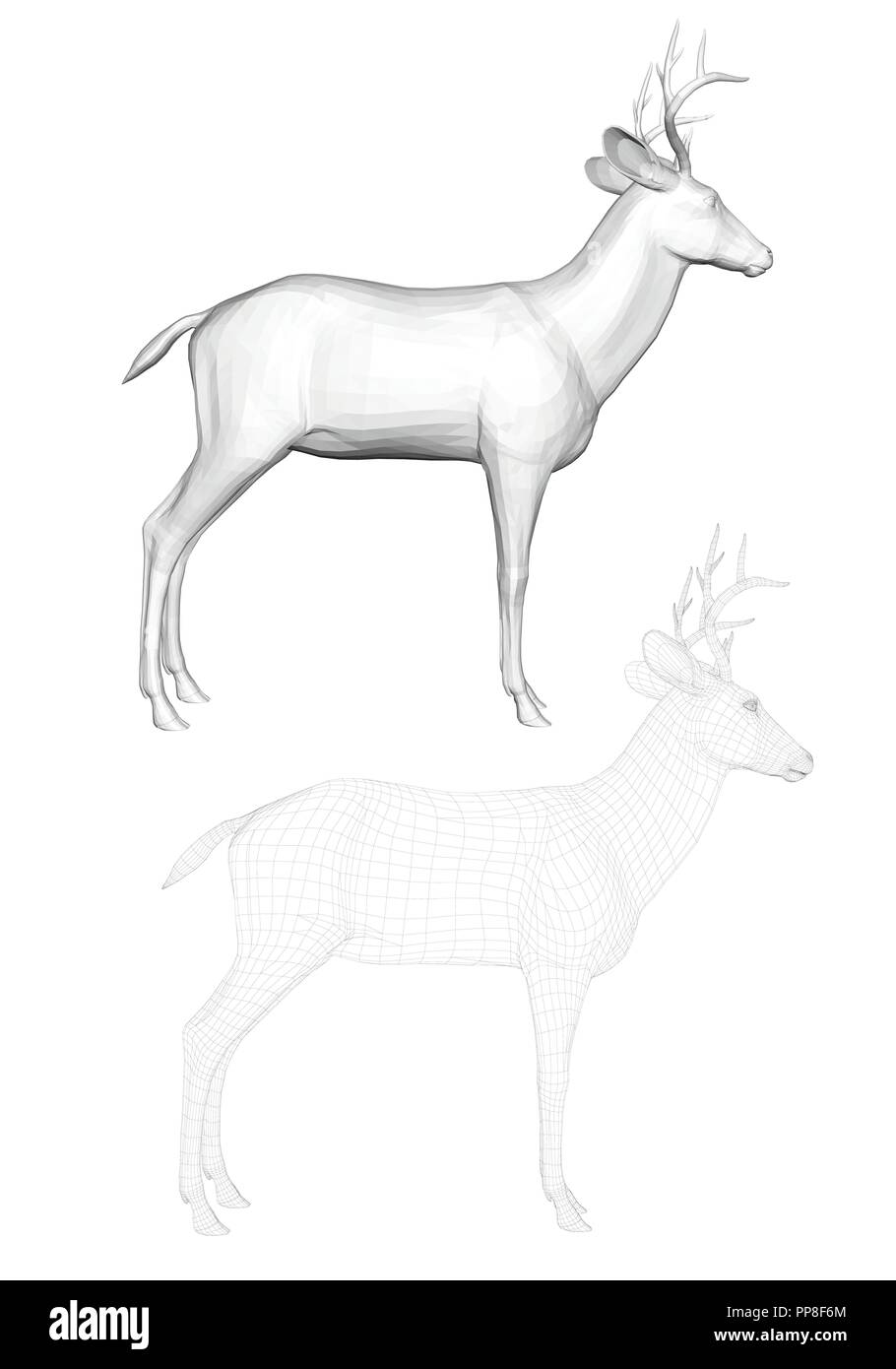 Illustration Vecteur de chevreuils, vue de côté. Deux cerfs avec un maillage polygonal et 3D. Illustration de Vecteur