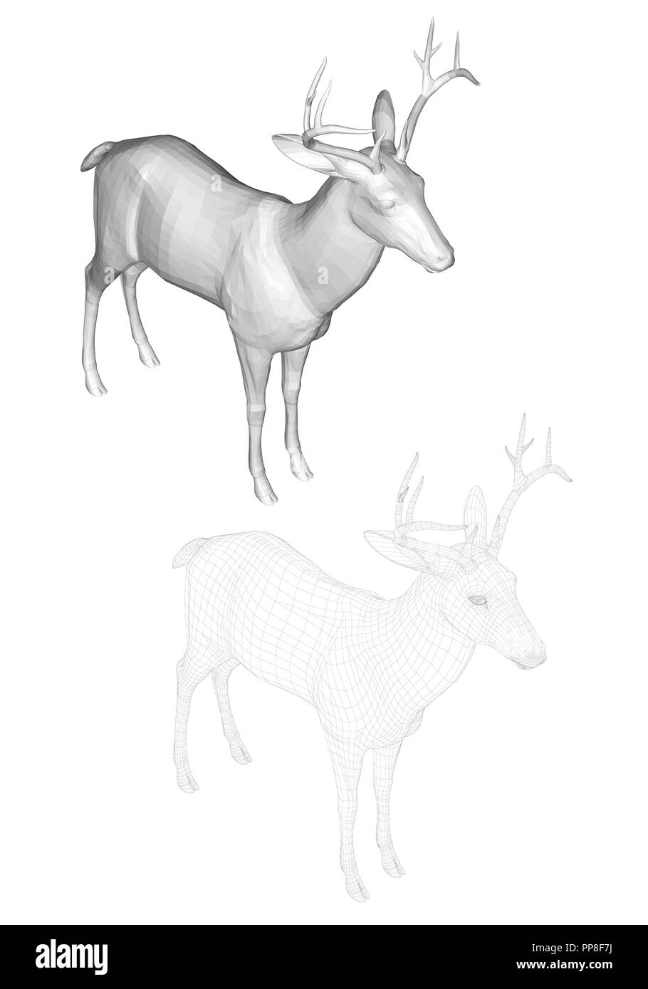 Vector illustration de chevreuils, vue isométrique. Deux cerfs avec réticulée et polygonal 3D. Illustration de Vecteur