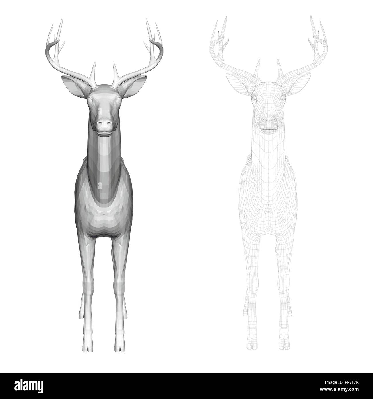 Vector illustration de chevreuils, vue de face. Deux cerfs avec réticulée et polygonal 3D. Illustration de Vecteur