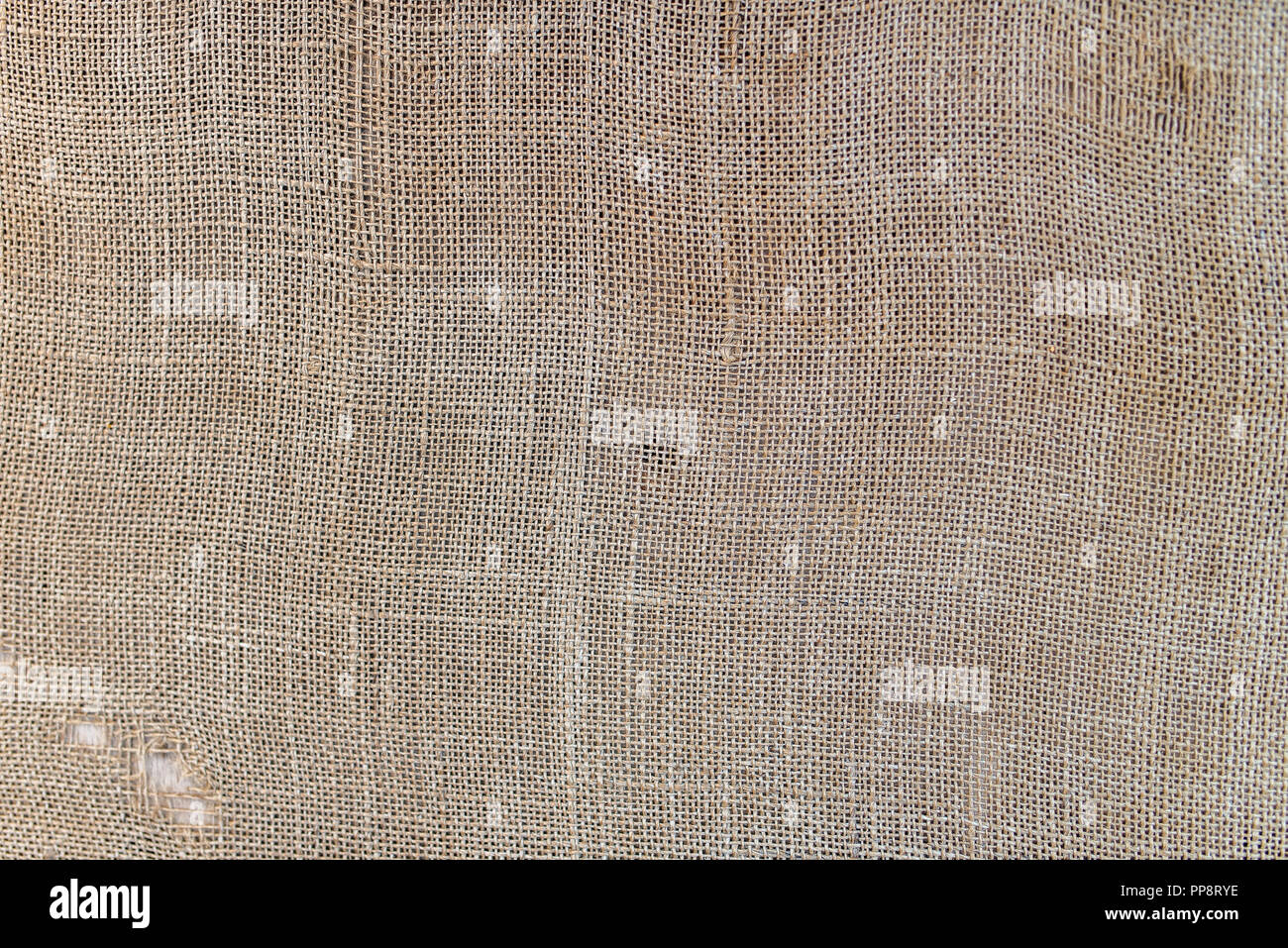 Close up d'un vieux tissu de laine de couleur beige. Banque D'Images