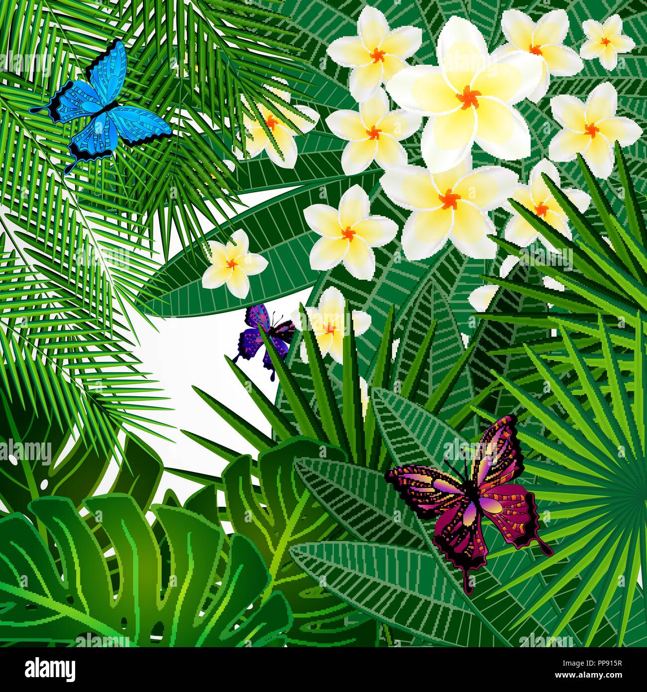 Floral design arrière-plan. Plumeria fleurs, feuilles et papillons tropicaux. Illustration de Vecteur