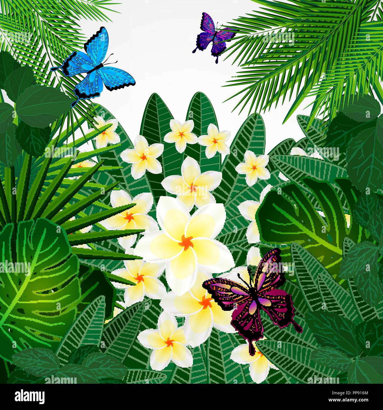 Floral design arrière-plan. Plumeria fleurs, feuilles et papillons tropicaux. Illustration de Vecteur