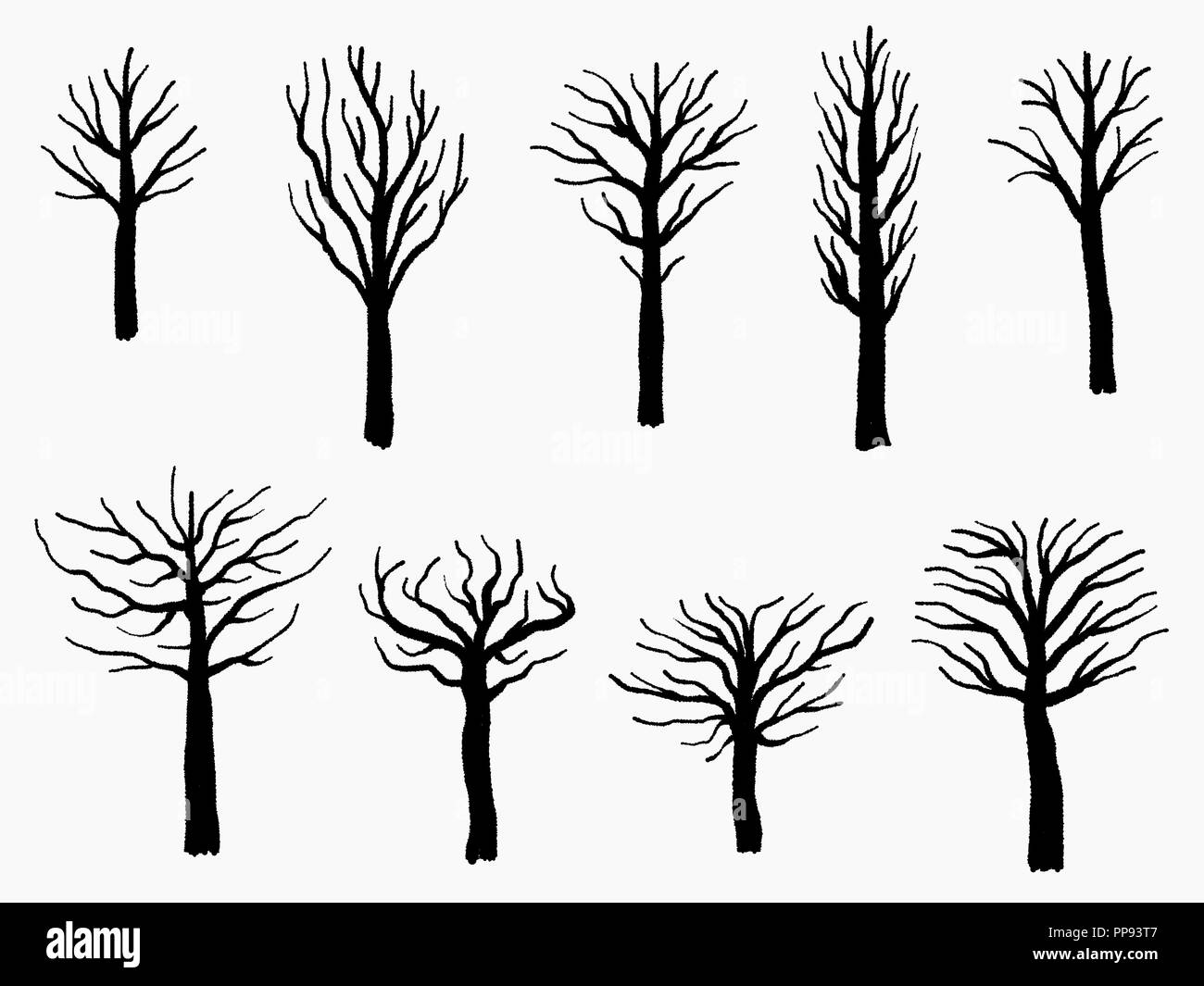 photo Silhouette Arbre Vectoriel https www alamyimages fr forme d arbre vector set barren tree silhouette illustration collection image220247447 html
