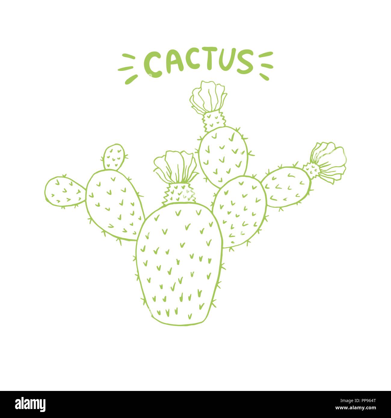 Cactus mexicain d'épines ou d'épines et de fleurs. Doodle isolés d'Art de la ligne de style pour l'élément de conception de pages ou de coloriage. Cactus Saguaro Esculent comestibles comme Indiens ou Mammillaria, fig. Illustration de Vecteur