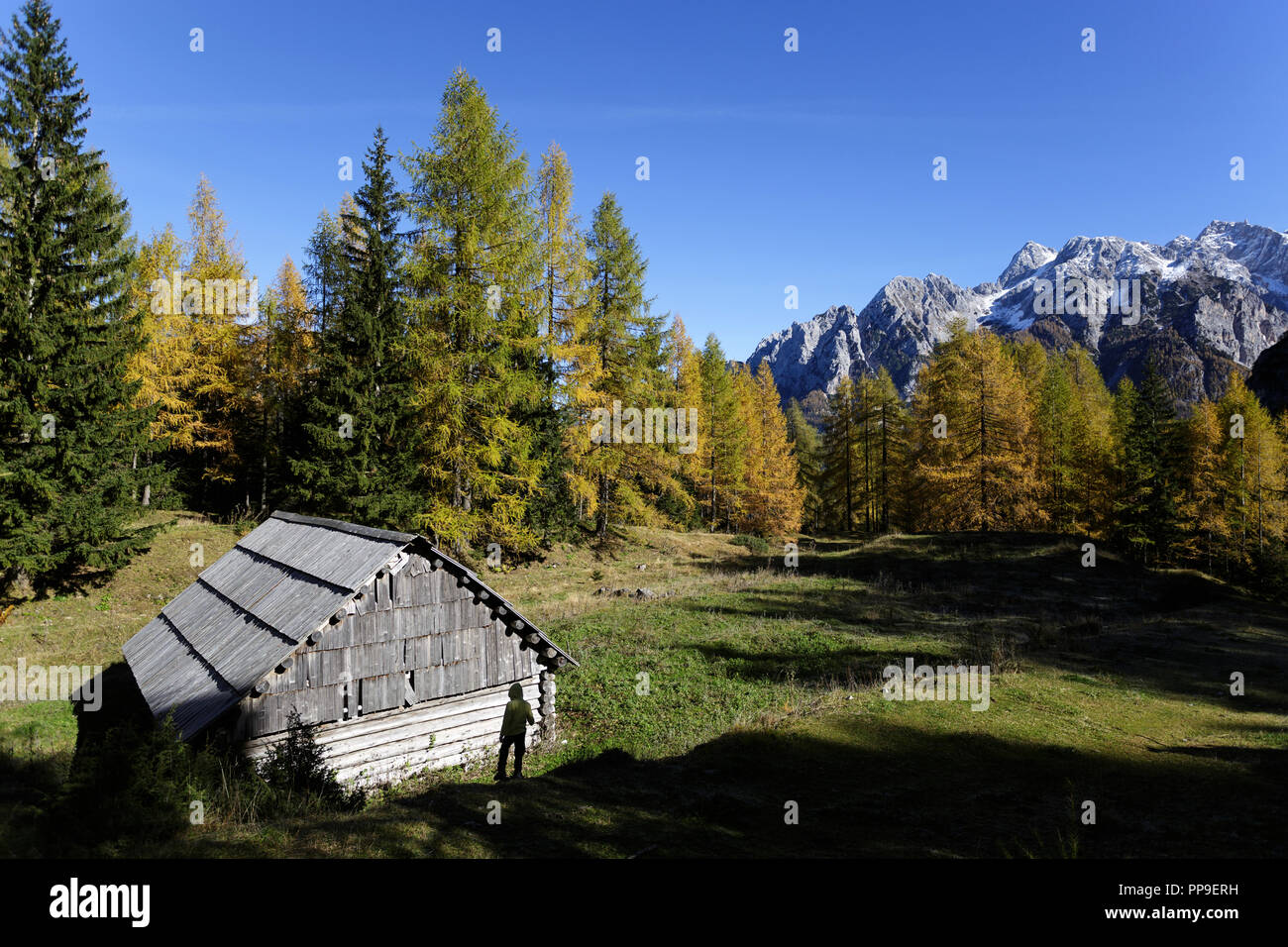 Silhouette de jeune garçon en face d'une cabane rustique en bois sur pré alpin sur une belle après-midi d'automne, entouré par les Alpes Juliennes, en Slovénie, Vršič Banque D'Images