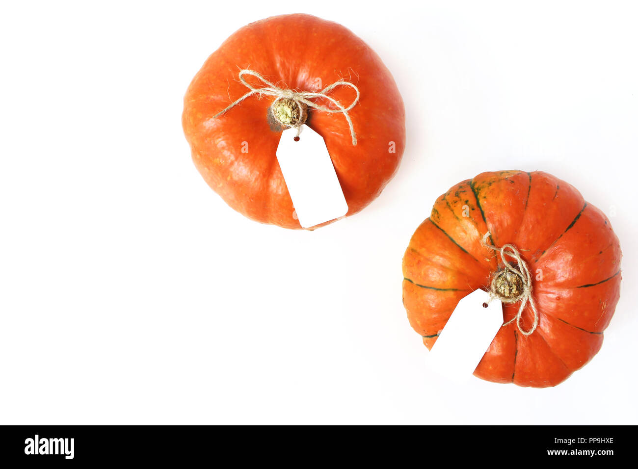 Composition d'automne. Citrouilles Hokkaido Orange avec don, étiquettes de prix isolé sur fond blanc. Automne, Halloween et Thanksgiving. Concept d'entreprise. Stock style télévision lay, vue d'en haut. Banque D'Images