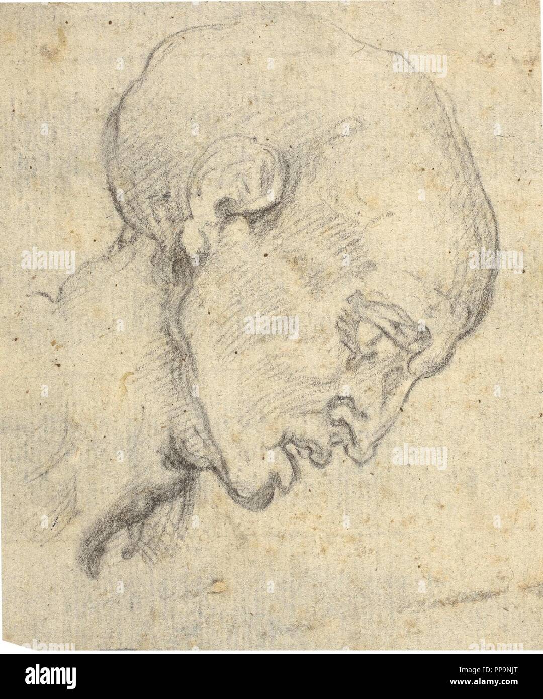 Anonyme / 'Tête d'un homme de profil'. XVI siècle. Crayon sur papier. Musée : Musée du Prado, Madrid, España. Banque D'Images