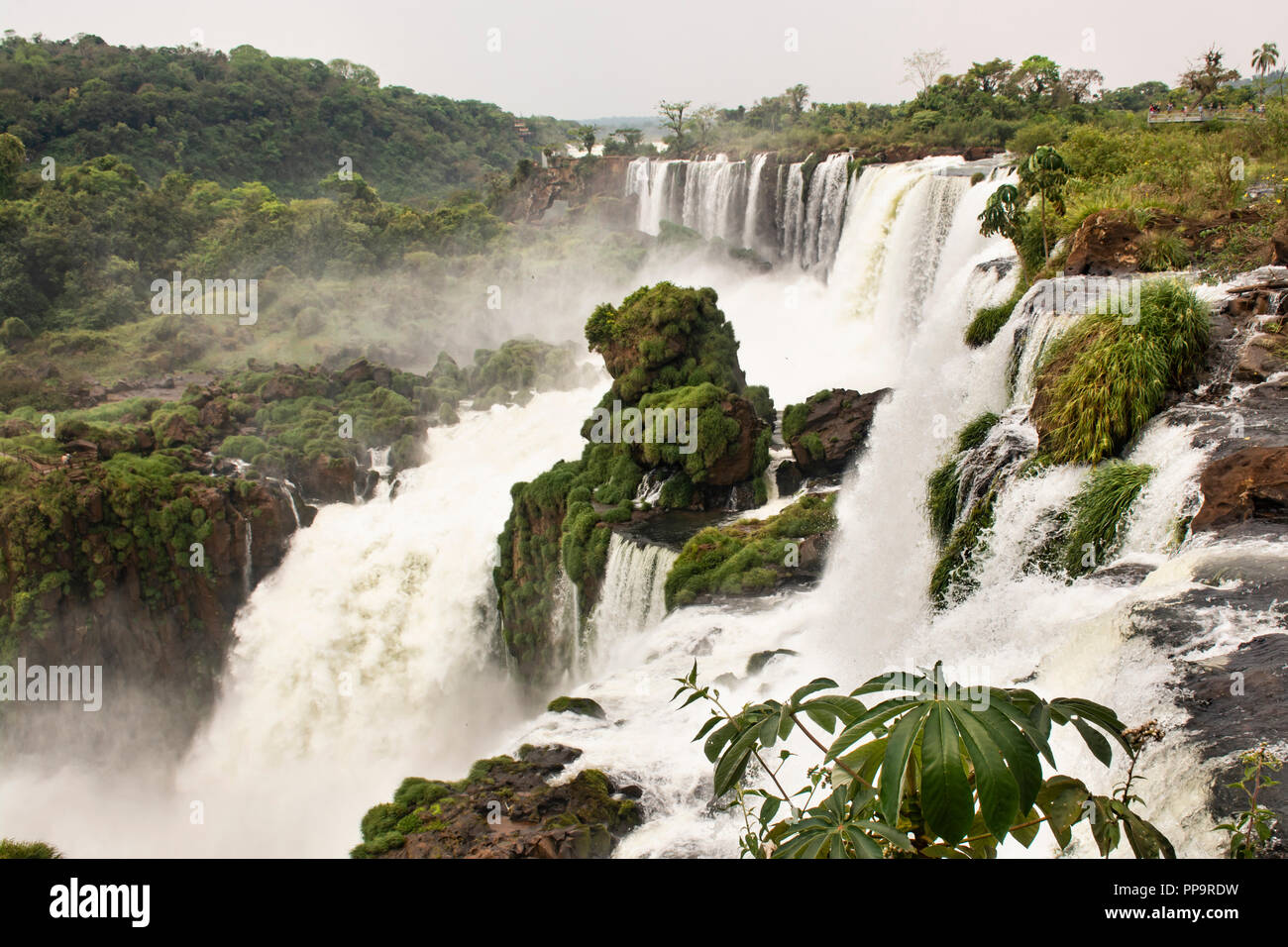D'Iguazu, Parc National de l'Iguazu, Argentine Banque D'Images