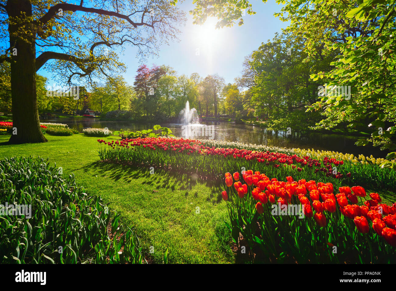 Jardin de fleurs Keukenhof. Lisse, aux Pays-Bas. Banque D'Images