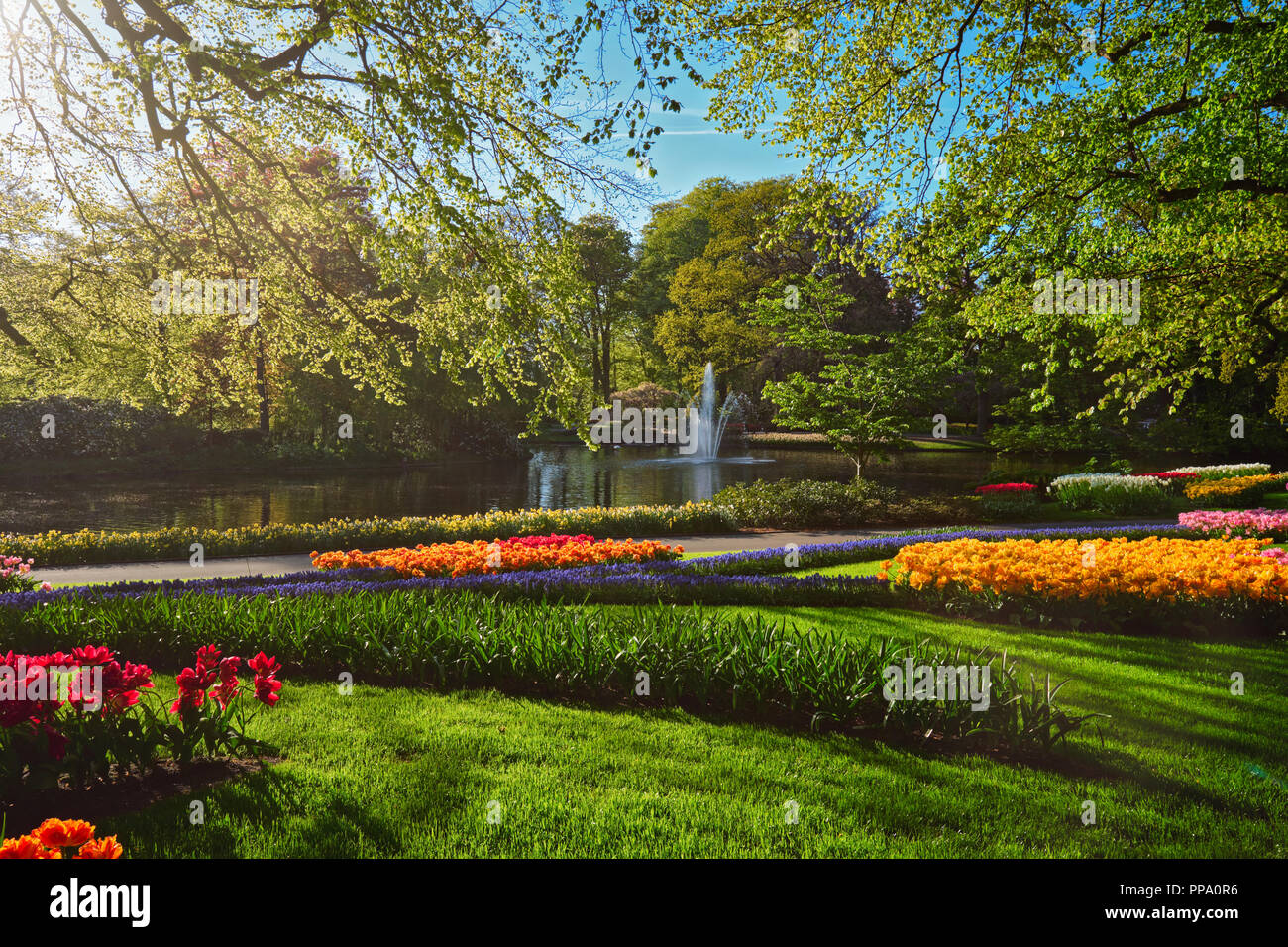 Jardin de fleurs Keukenhof. Lisse, aux Pays-Bas. Banque D'Images