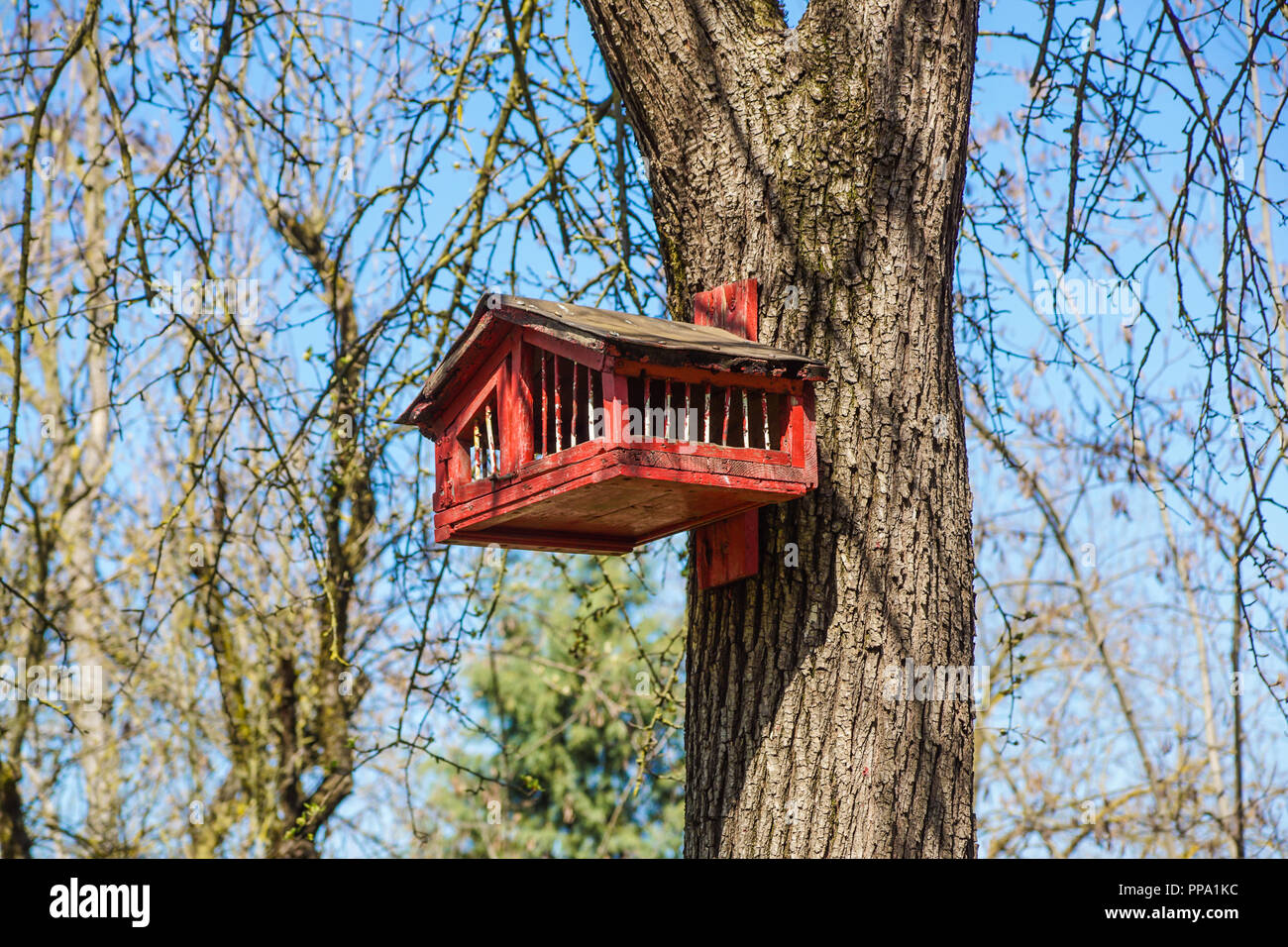 Maison d'écureuil en bois coloré, nid de l'Écureuil Photo Stock
