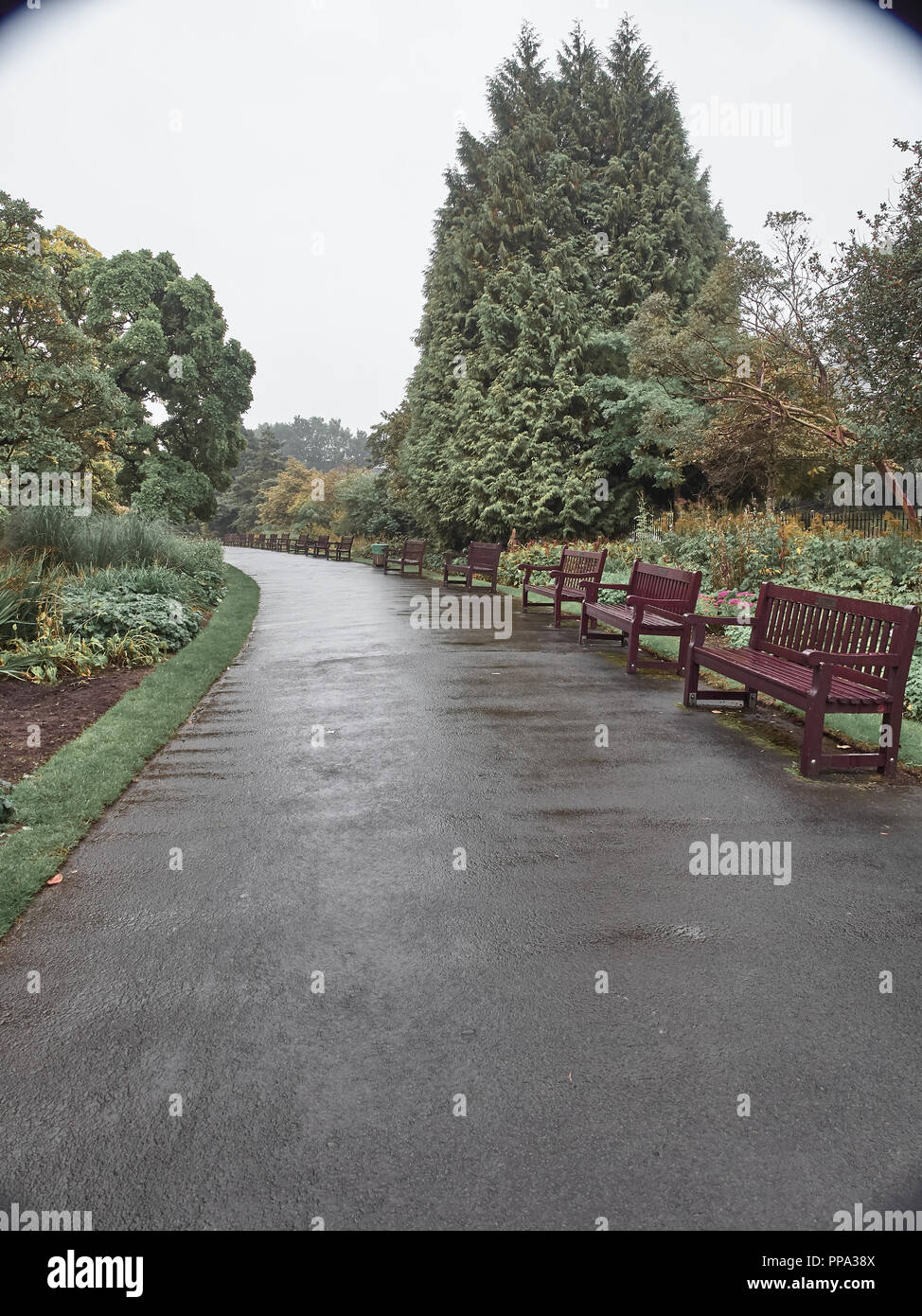 APPAREIL PHOTO NUMÉRIQUE OLYMPUS Banque D'Images