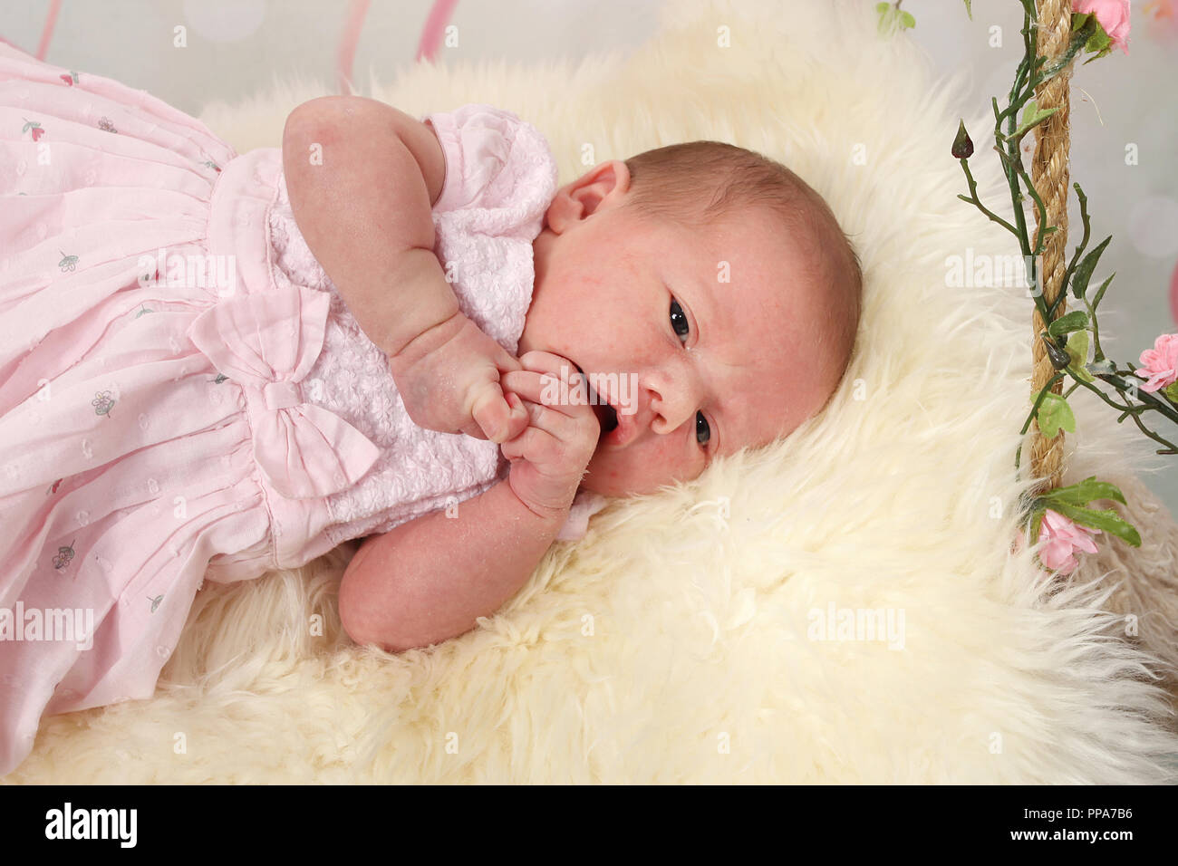 5 Jours Naissance D Un Bebe Fille Photo Stock Alamy 5 Jours Naissance D Un Bebe Fille Photo Stock Alamy