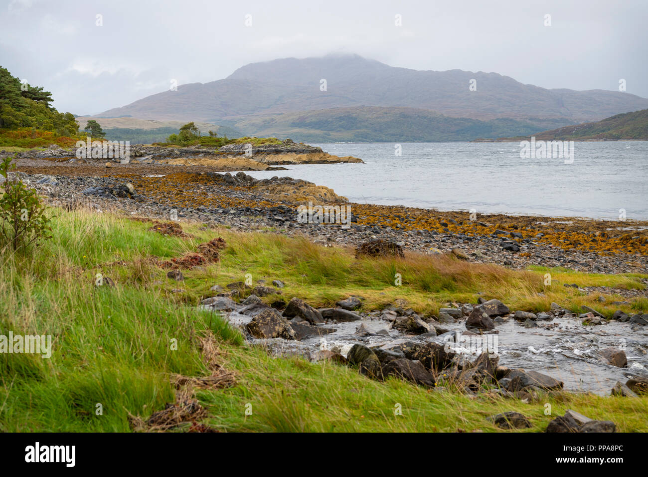 Le loch Sunart, Ecosse Banque D'Images