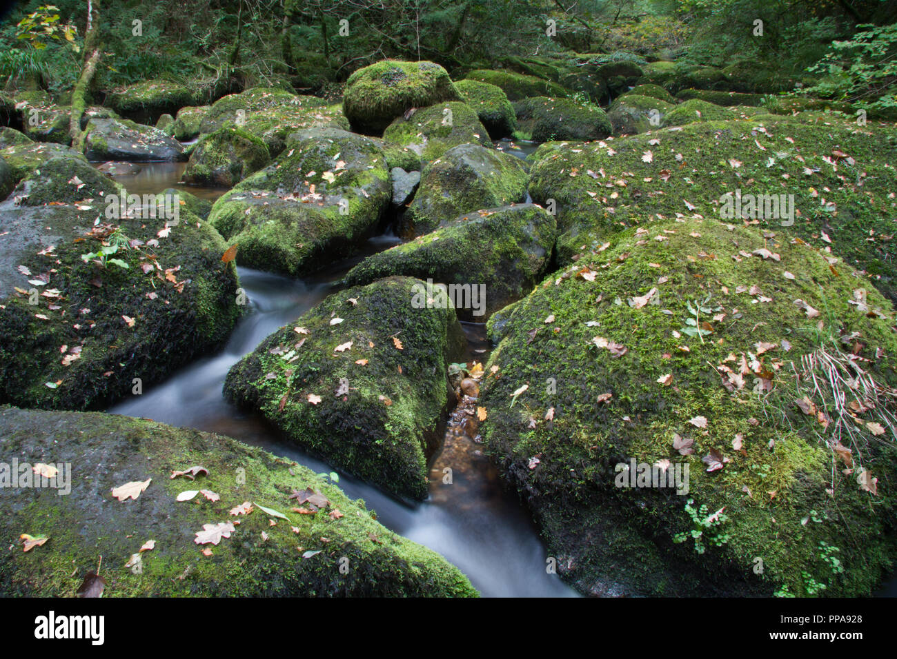 Becky Falls Banque D'Images