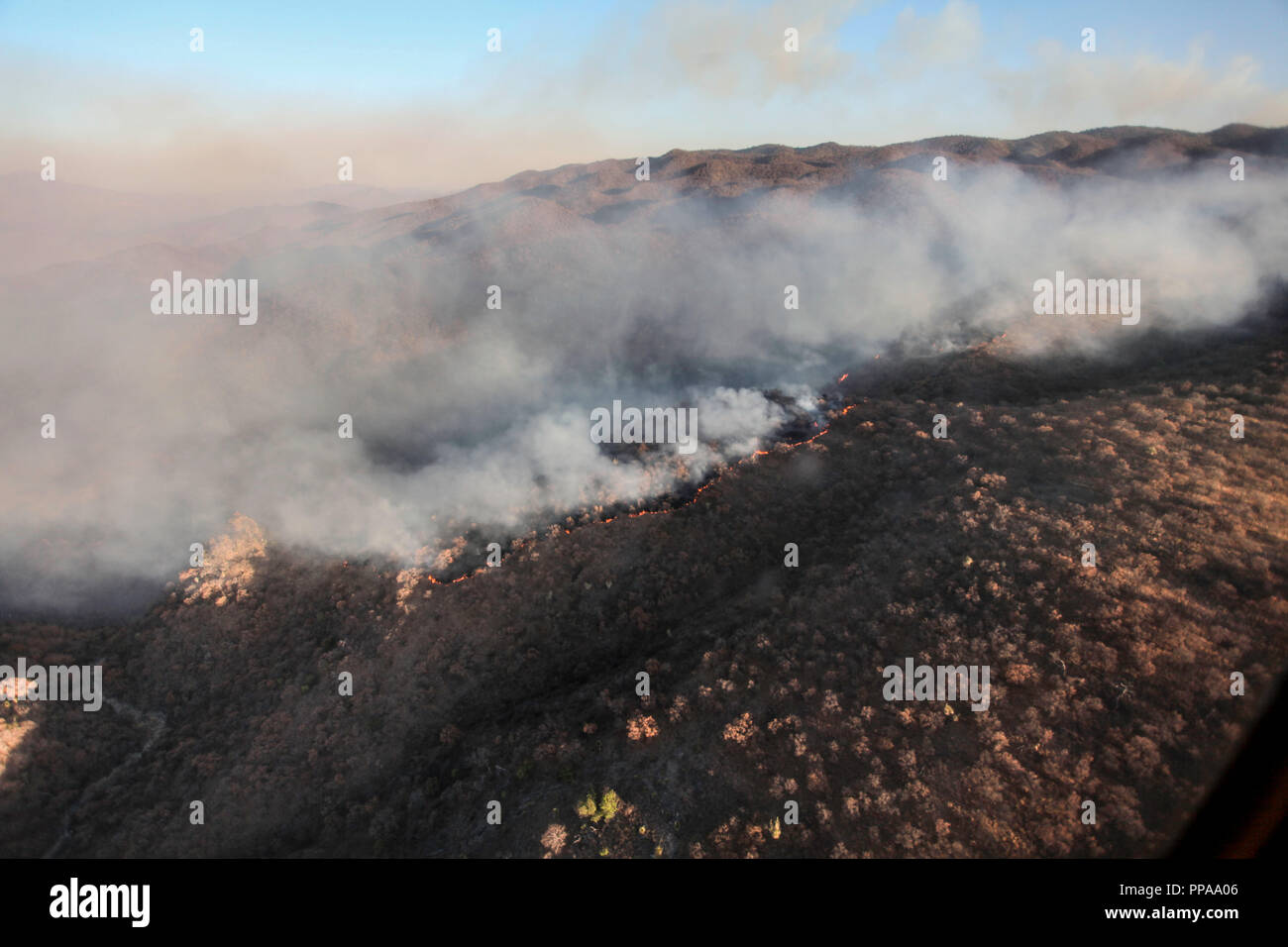 Utilisé par l'hélicoptère Conafor, Commission forestière nationale de lutte contre les incendies de forêts dans la Sierra de Sonora, au Mexique. Juin 2014... (Photo : LuisGutierrez NortePhoto.com) / Helicóptero utilizado por la Conafor, Comision Nacional Forestal para el combate de incendios de los bosques en la Sierra de Sonora, Mexique. juin 2014. (Foto : © LuisGutierrez NortePhoto.com) / Helicóptero. Helico Banque D'Images