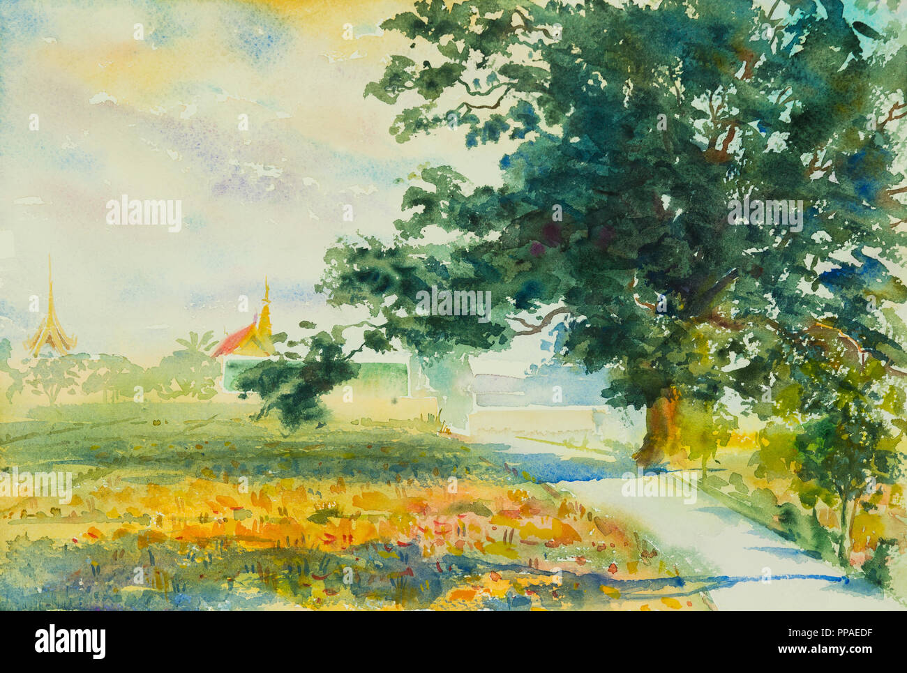 Peinture Aquarelle paysage coloré original de champ de riz,vue sur le village, rue de la saison de printemps. Peint à la main, bleu ciel nuage background,beaut Banque D'Images