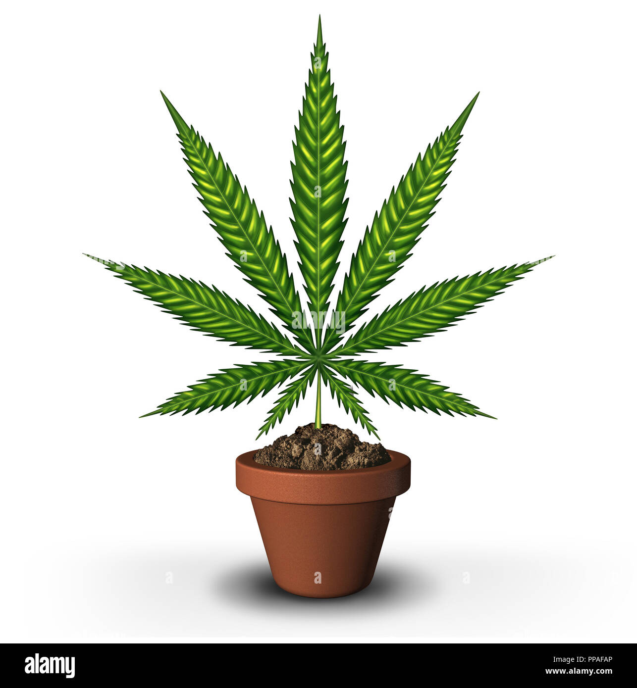 Culture du cannabis et de la marijuana ou de l'horticulture et la culture des mauvaises herbes pot concept juridique de l'agriculture comme une feuille dans une plante en pot comme un symbole pour la marijuana p Banque D'Images