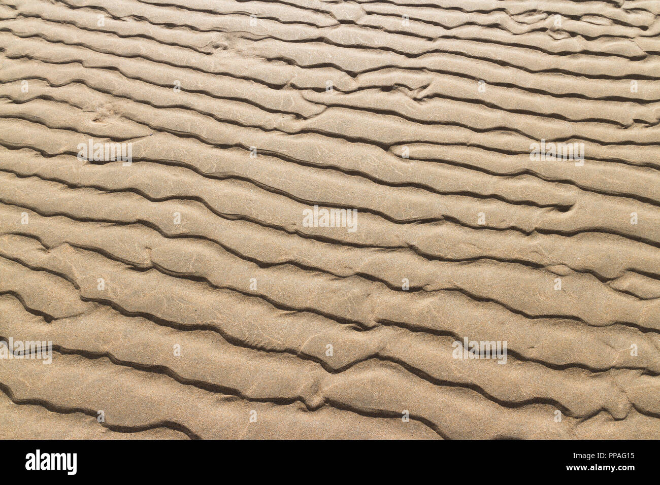 Plage de sable à motifs Banque D'Images