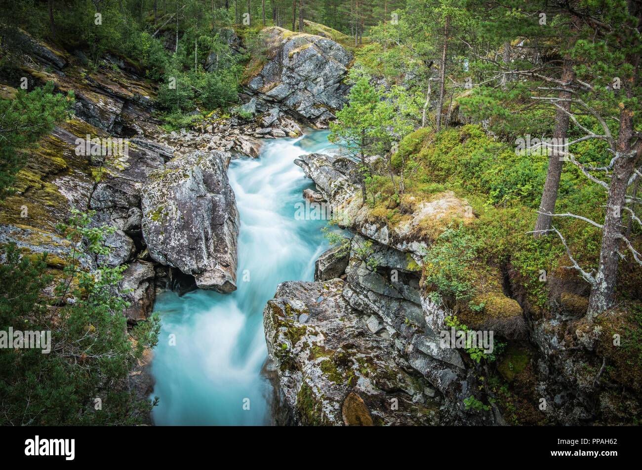 Alpine pittoresque Creek et de la rivière de montagne photo gros plan. Paysage d'été. Banque D'Images