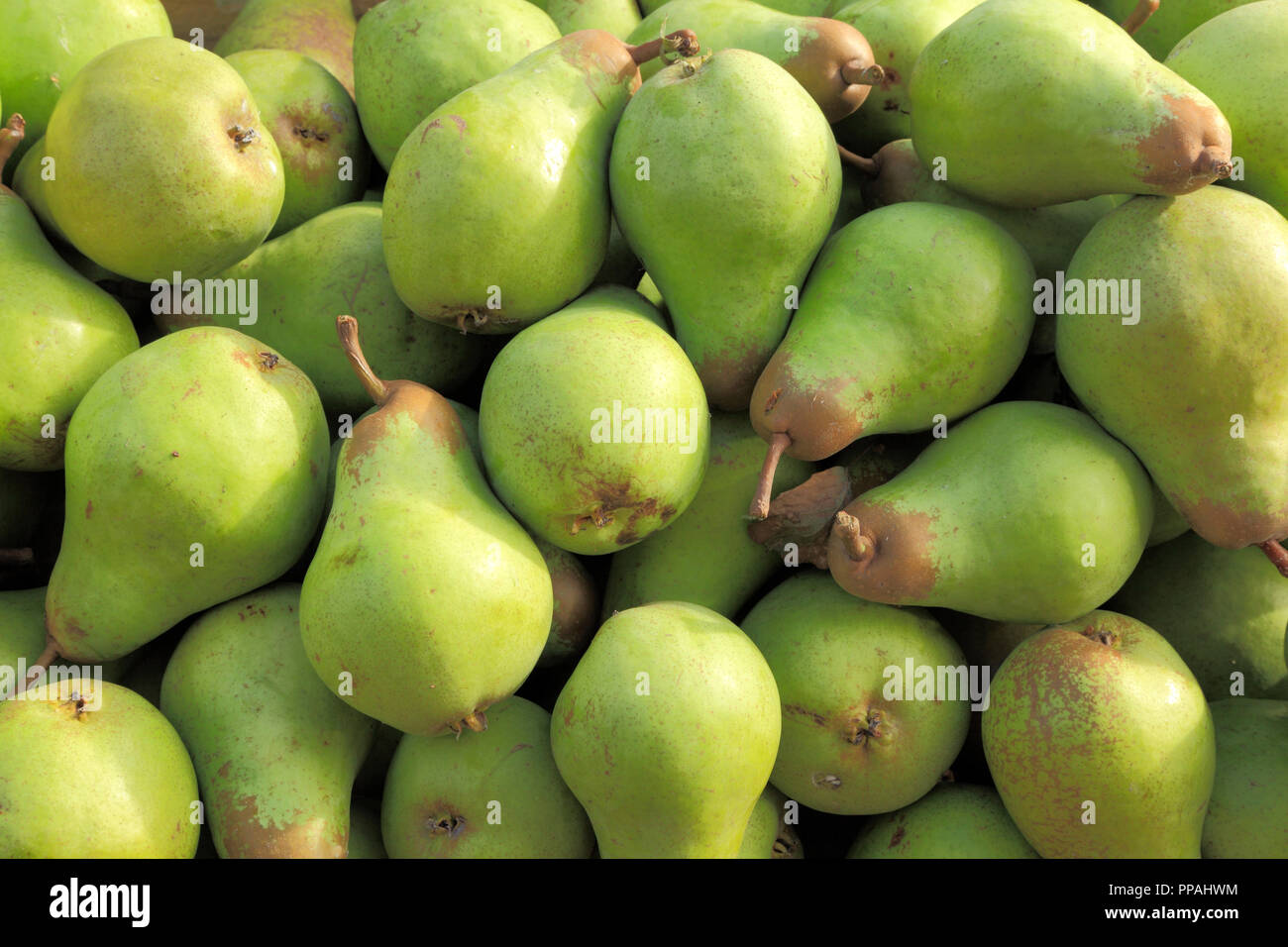 Poire, poires, Mertons Fierté, Pyrus, boutique de la ferme, fruits comestibles, d'affichage Banque D'Images