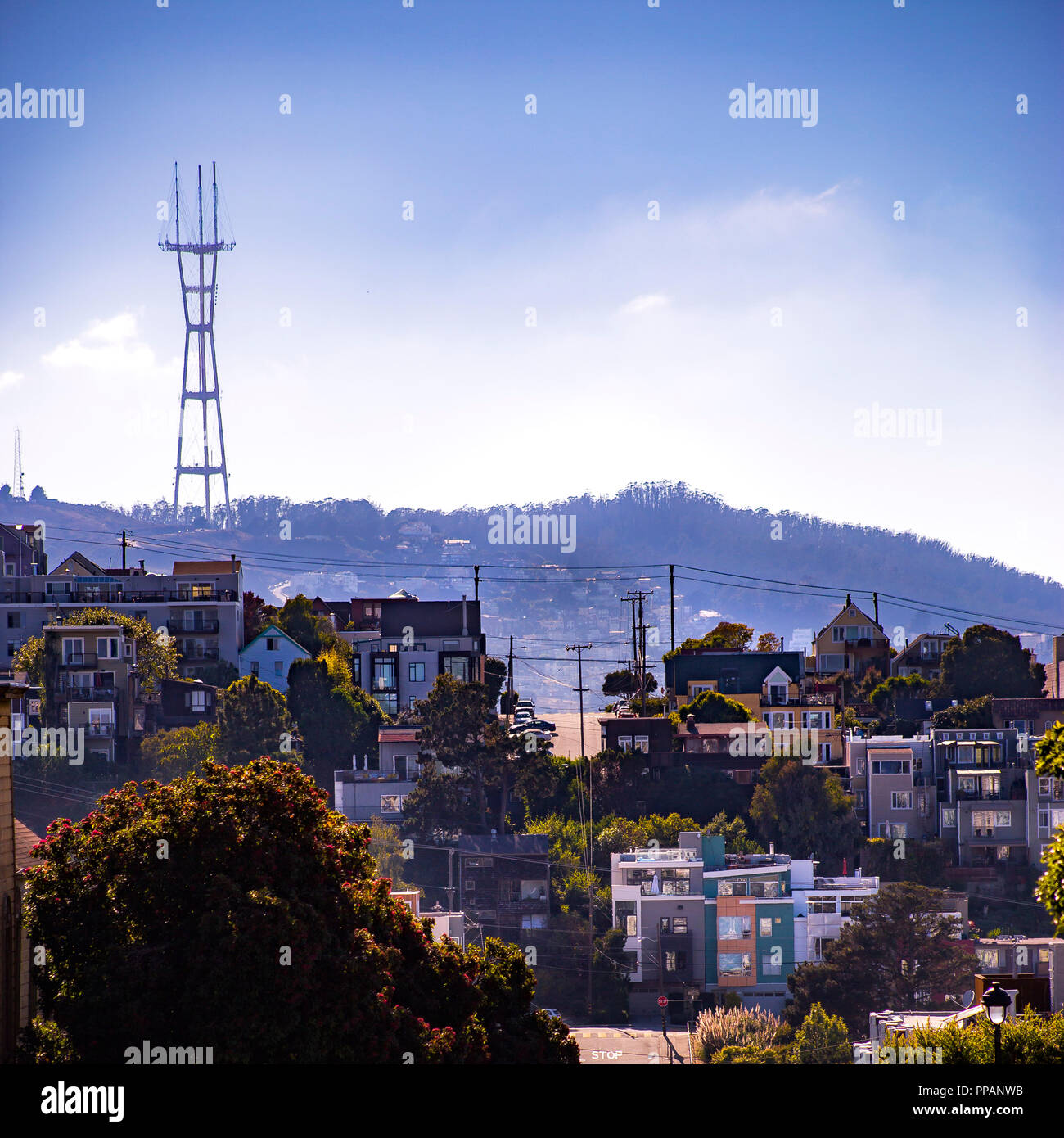 La populeuse Ville San Francisco lors d'une journée ensoleillée Banque D'Images