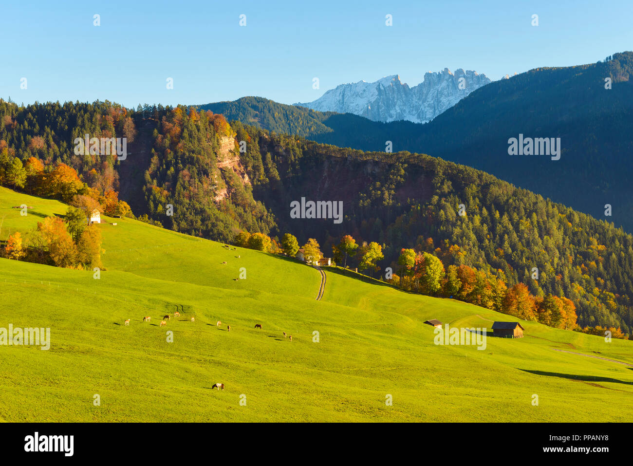 Paysage de montagne d'automne, Oberaicha, niveaux, Dolomites, Trentino-Alto Adige, Tyrol du Sud, Italie, Europe Banque D'Images