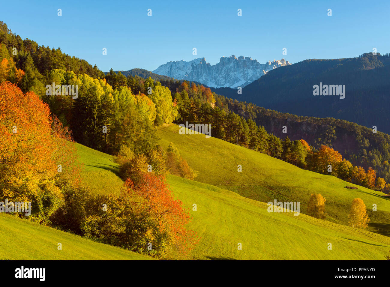 Paysage de montagne d'automne, Oberaicha, niveaux, Dolomites, Trentino-Alto Adige, Tyrol du Sud, Italie, Europe Banque D'Images