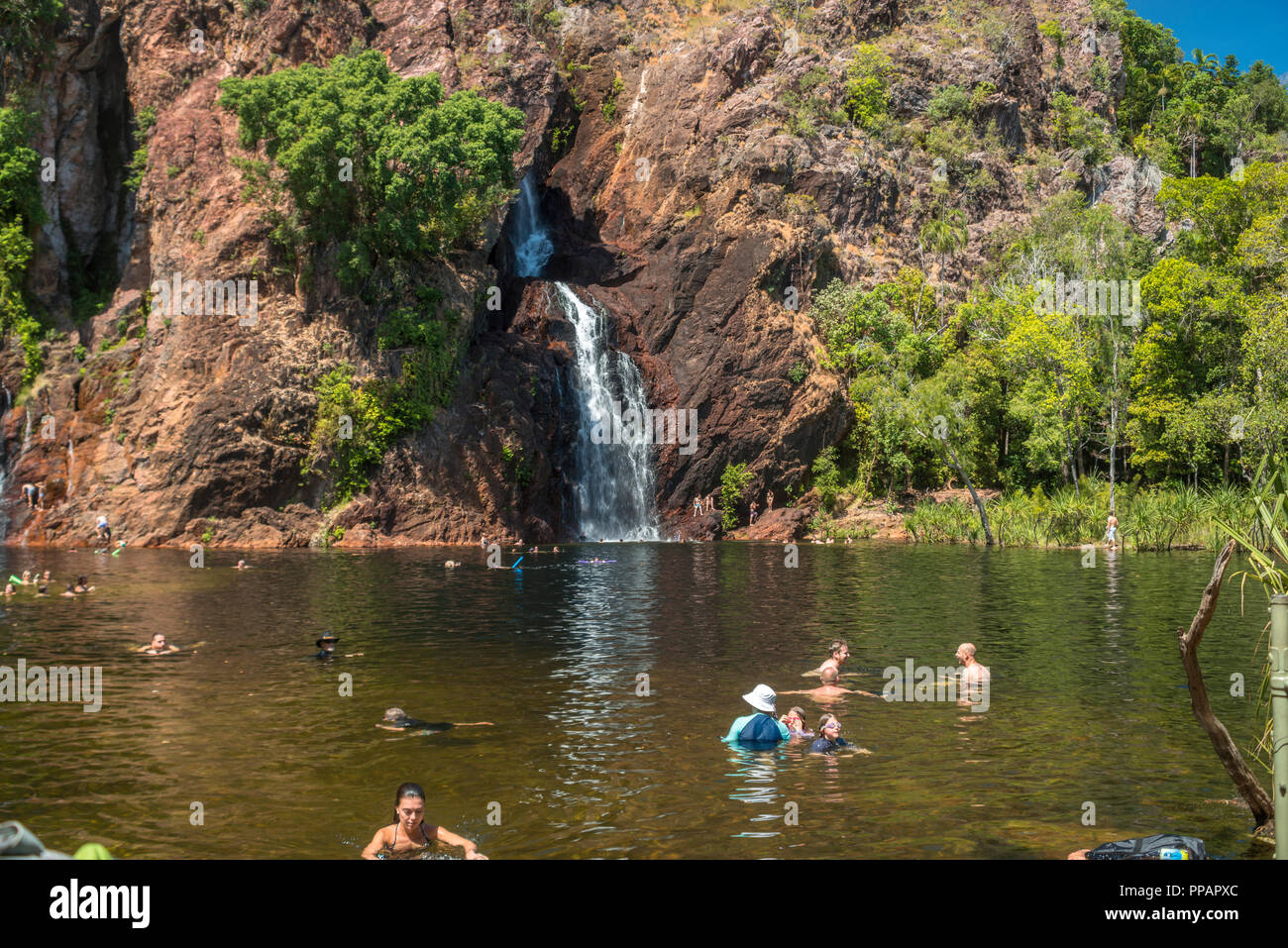 La natation de personnes, Wangi Falls, en saison sèche, Litchfield National Park, Territoire du Nord, Australie Banque D'Images