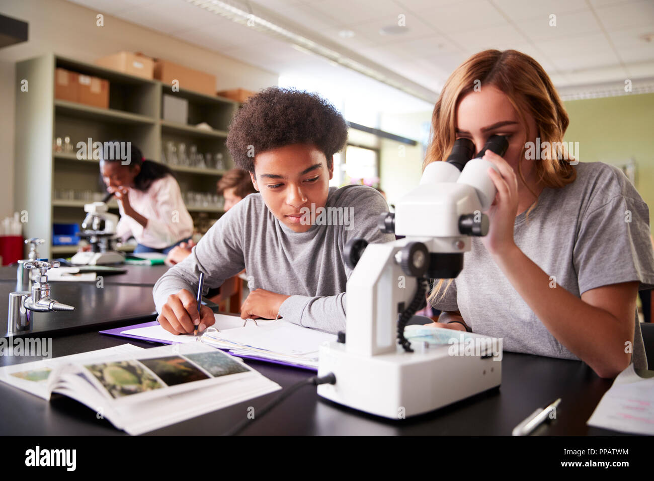 Les élèves du secondaire à la recherche par classe de biologie Microscope dans Banque D'Images