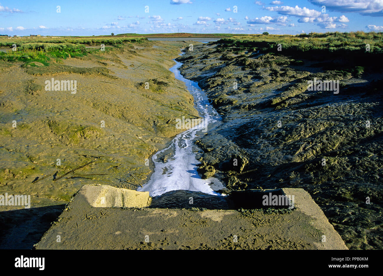 L'eau du sud d'égouts, Kent, Angleterre, RU, FR. Banque D'Images