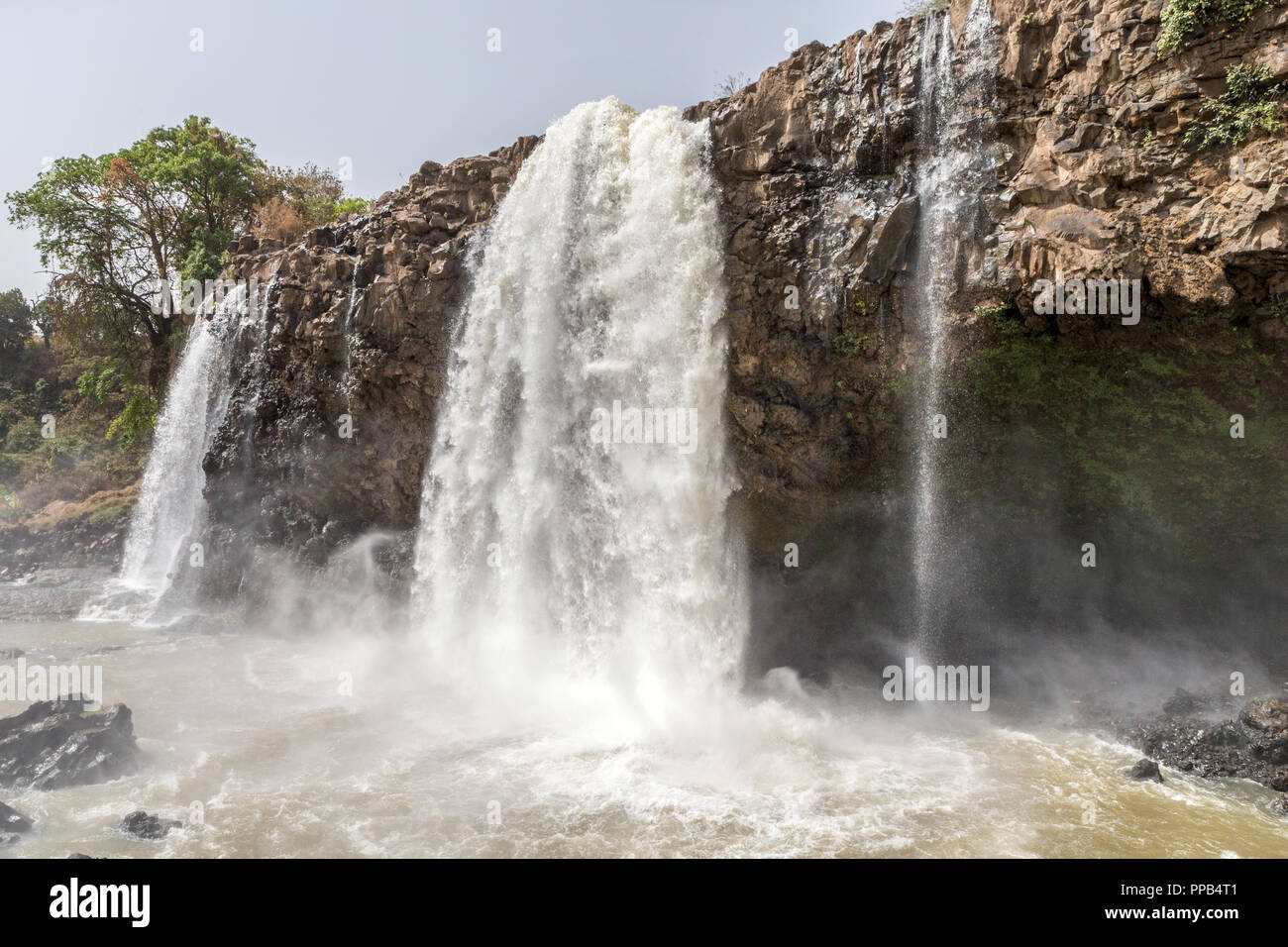 Tis Abay (Fumée du Nil) aka Tis Isat (l'eau qui fume), du Nil Bleu en Ethiopie, waterfallls Banque D'Images