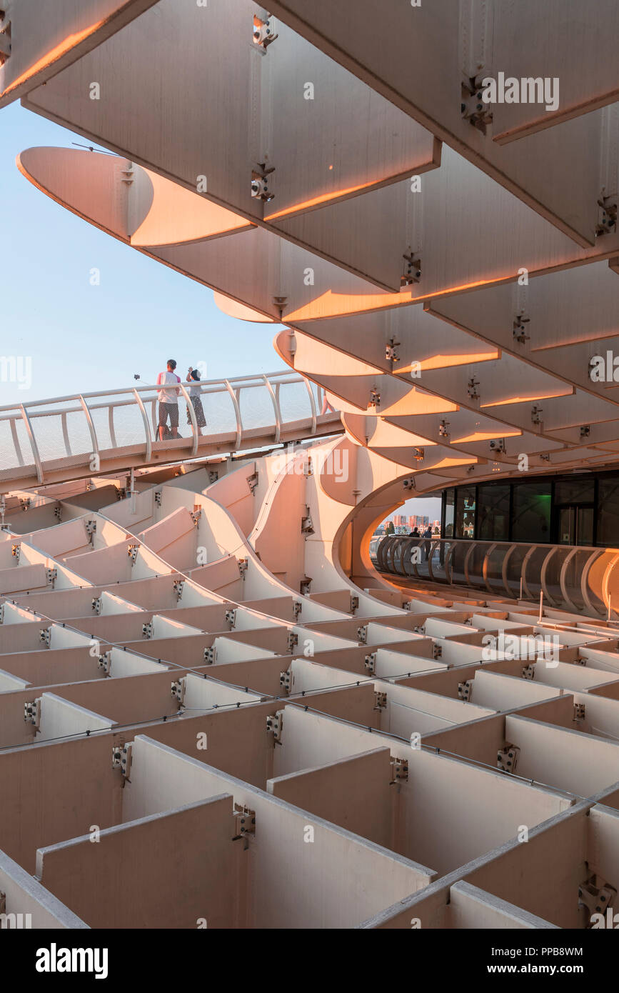 L'architecture moderne, le Metropol Parasol, structure en bois courbé, Plaza de la Encarnacion, Séville, Andalousie, Espagne Banque D'Images