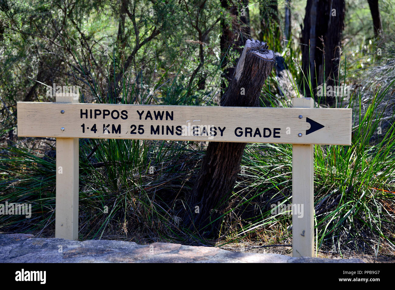 Panneau indiquant Hippo's Yawn, un rocher de granit unique près de Wave Rock, Hyden, Australie du Sud-Ouest Banque D'Images