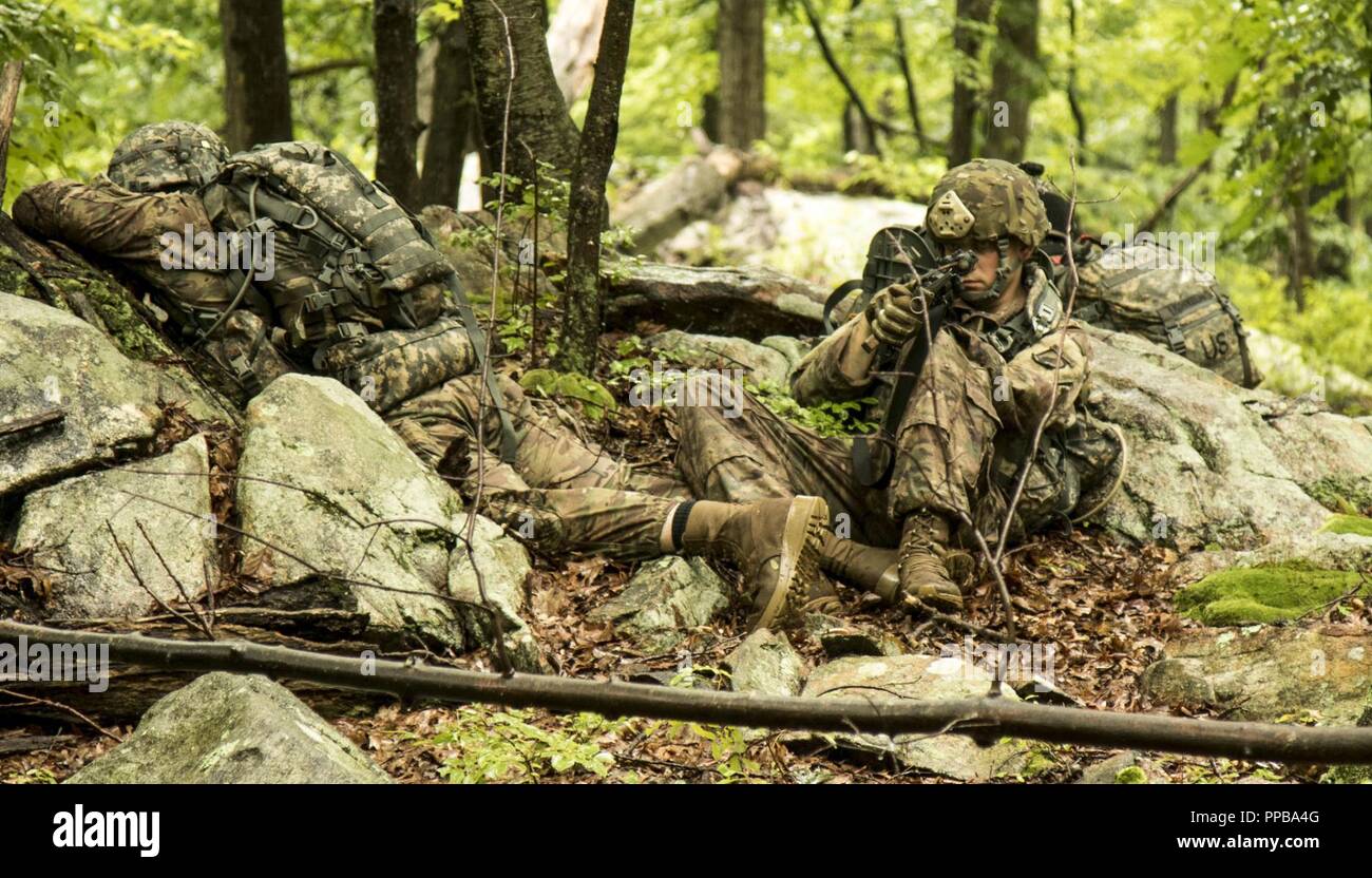 La CPS de l'armée américaine. Michael Labonté un résident de Smithfield, R.I., attribuée à la société C, 1e Bataillon (Airborne), 143e Régiment d'infanterie, dans le couvercle avant après un simulacre d'agressions sexuelles au cours de reclassement d'infanterie 18-002 Cours de formation sur le terrain, l'exercice final qui a duré 48 heures au Camp Smith Site de formation, Cortlandt Manor, NEW YORK, le 13 août 2018. Institut régional de formation de la 106e a effectué l'infanterie d'août cours 3-21, 2018 et adapté le programme de formation pour répondre aux nouvelles normes d'infanterie. Banque D'Images