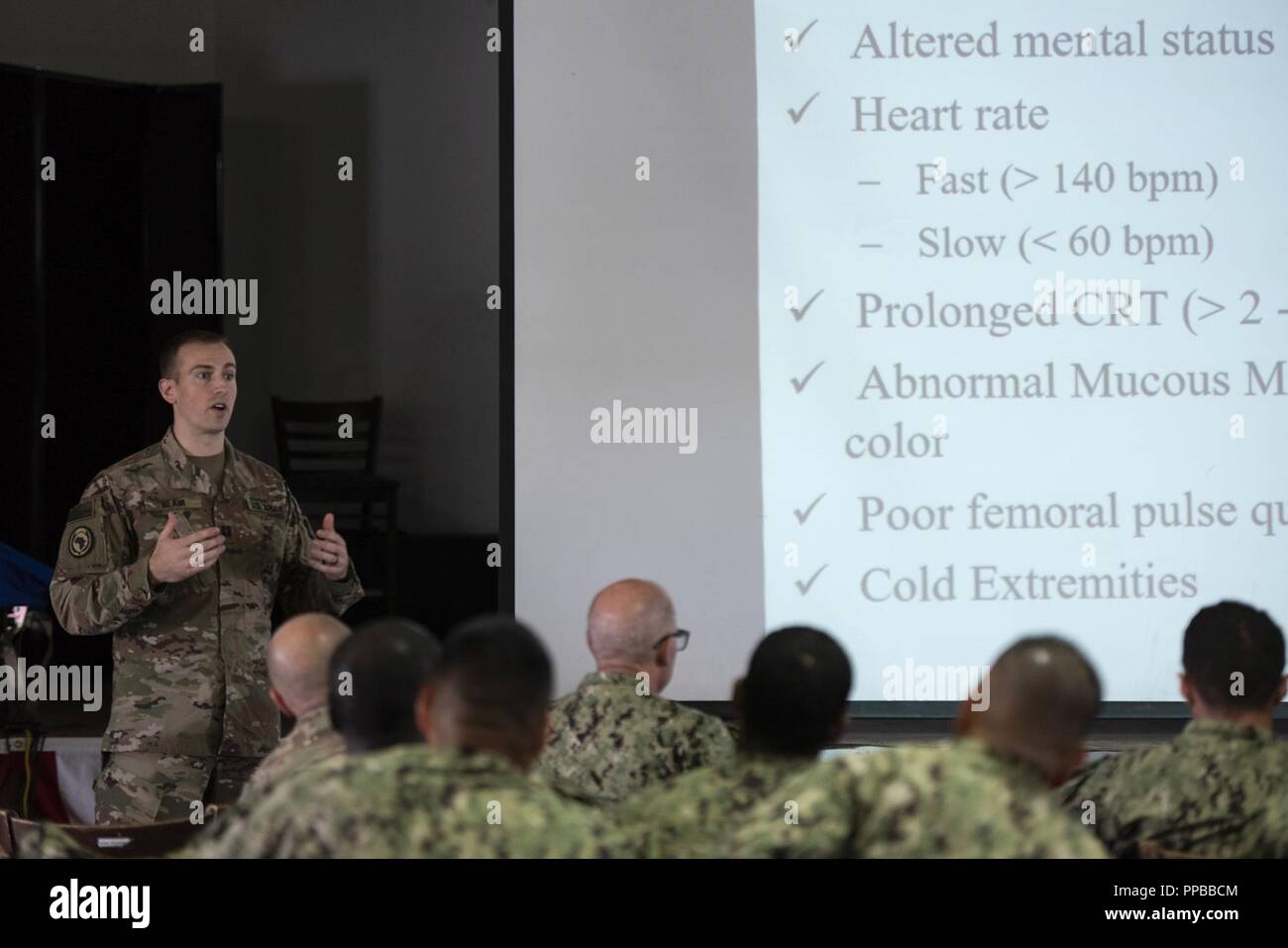 L'ARMÉE AMÉRICAINE Cpt. Richard Blair, un vétérinaire au Camp Lemonnier, enseigne les techniques de soins canins, sur Camp Lemonnier, Djibouti, le 18 août 2018. Pelham était d'appuyer un événement de formation sur les soins aux blessés au combat tactique canine, pour se familiariser avec les membres de milieux médicaux, sur le traitement des canines incluses dans le domaine. Banque D'Images