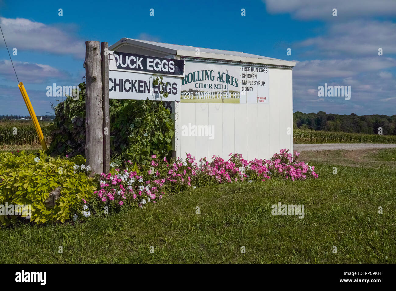 Vue d'un cidre et oeufs de canard buvette sur le côté de la route. Au sud de l'Ontario. Banque D'Images