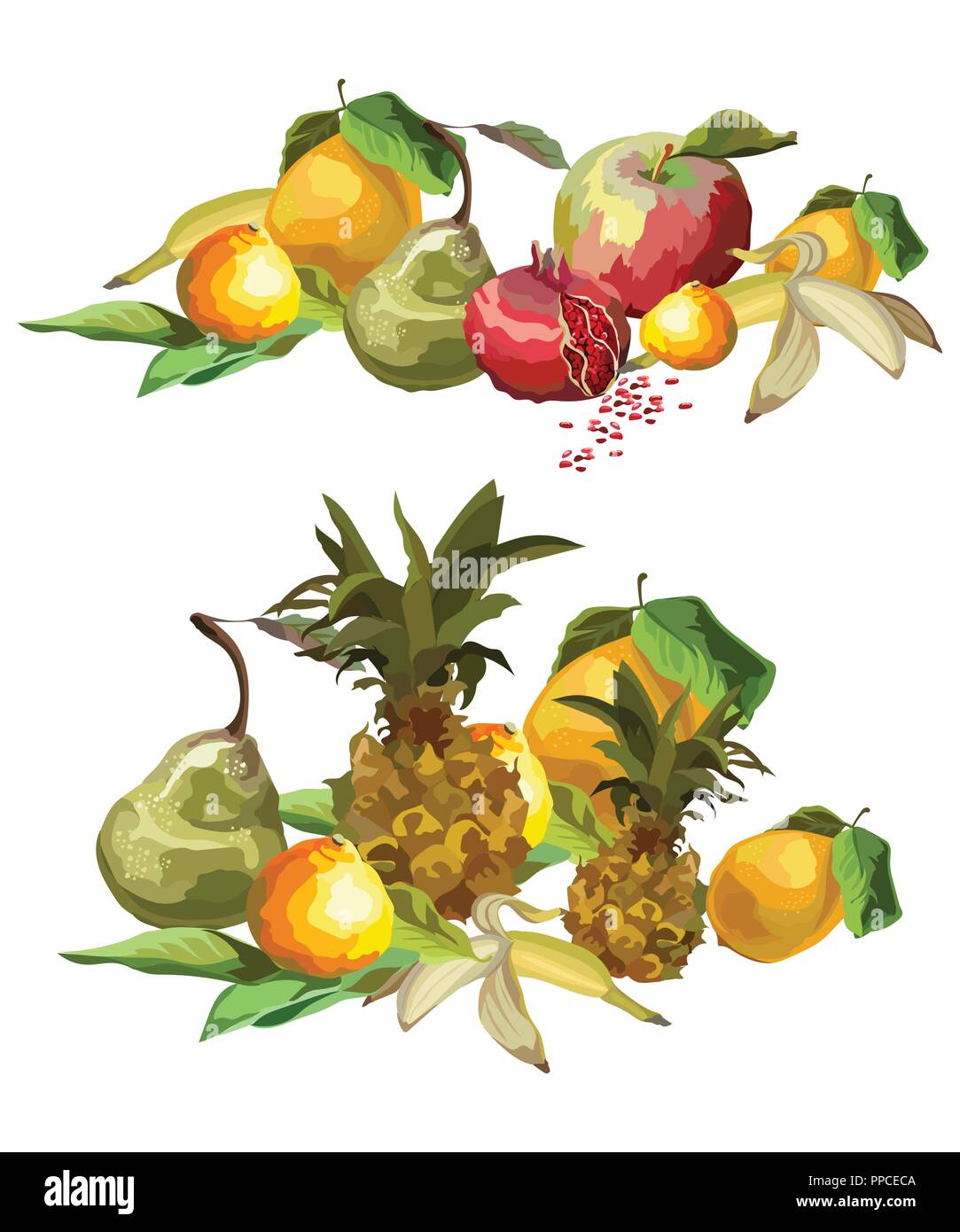 Groupe image colorée vecteur de fruits tropicaux (ananas, poire, pomme, citron, orange, banane, grenade). L'illustration de l'art et conception isolated Illustration de Vecteur