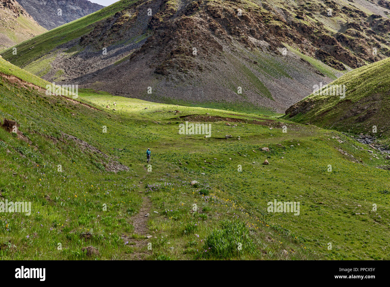 L'incroyable des hauteurs de l'Alay Trek dans le sud-ouest du Kirghizistan qui prend dans 4 3000 + mètres passe. Banque D'Images