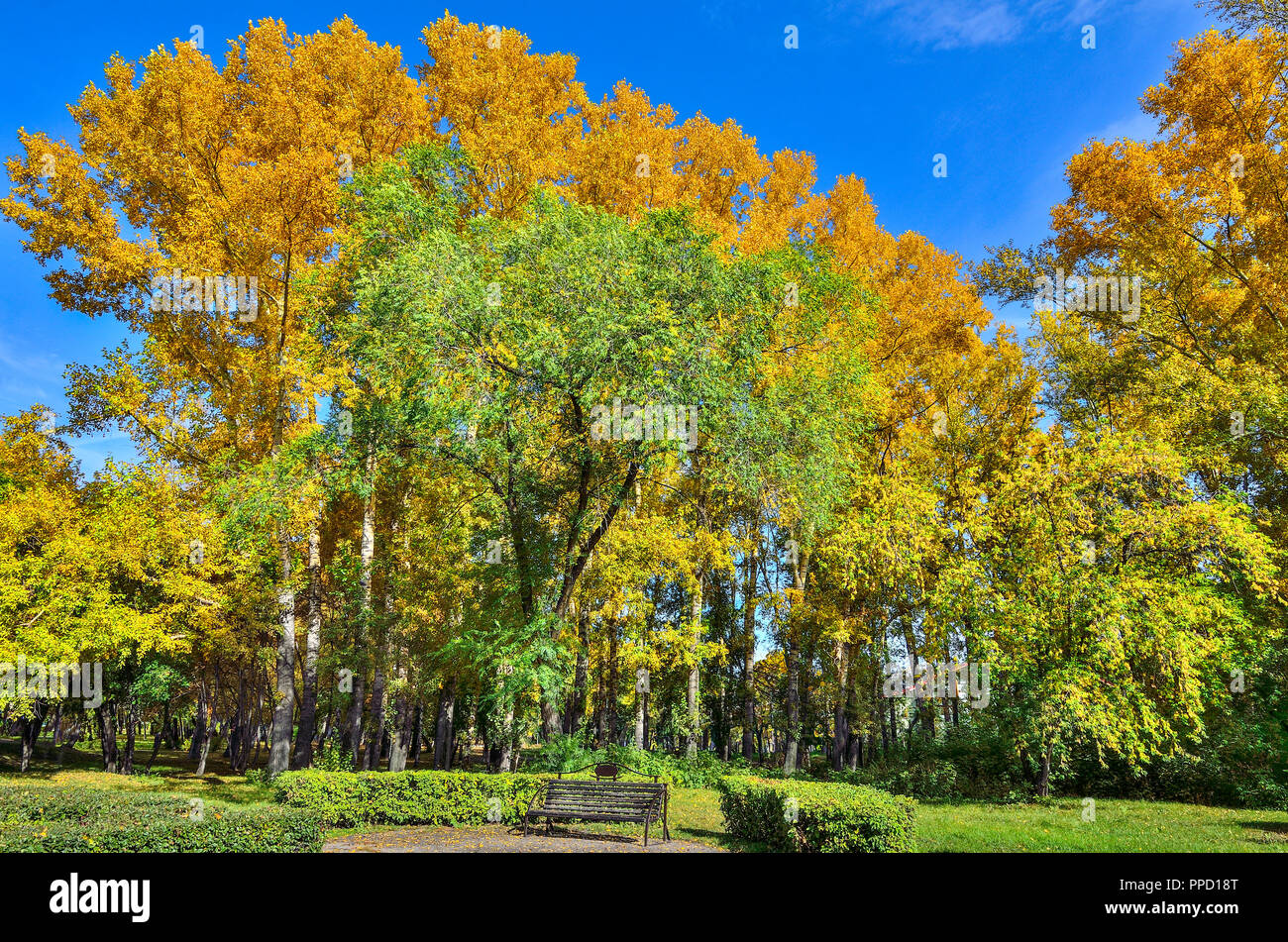 Petit coin d'automne parc avec banc en bois sous les arbres d'automne colorés - paysage d'automne pittoresque à chaude journée ensoleillée de septembre Banque D'Images
