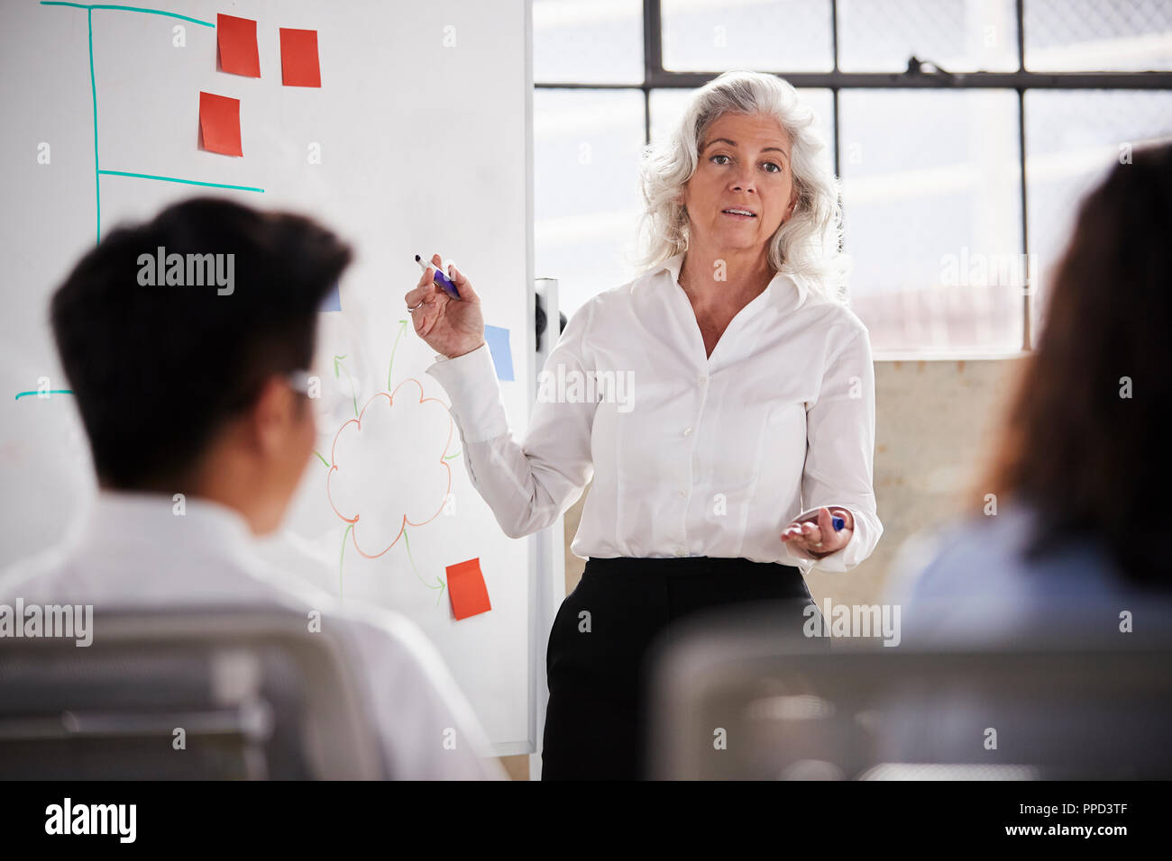 Senior businesswoman en utilisant le tableau blanc en séance, Close up Banque D'Images