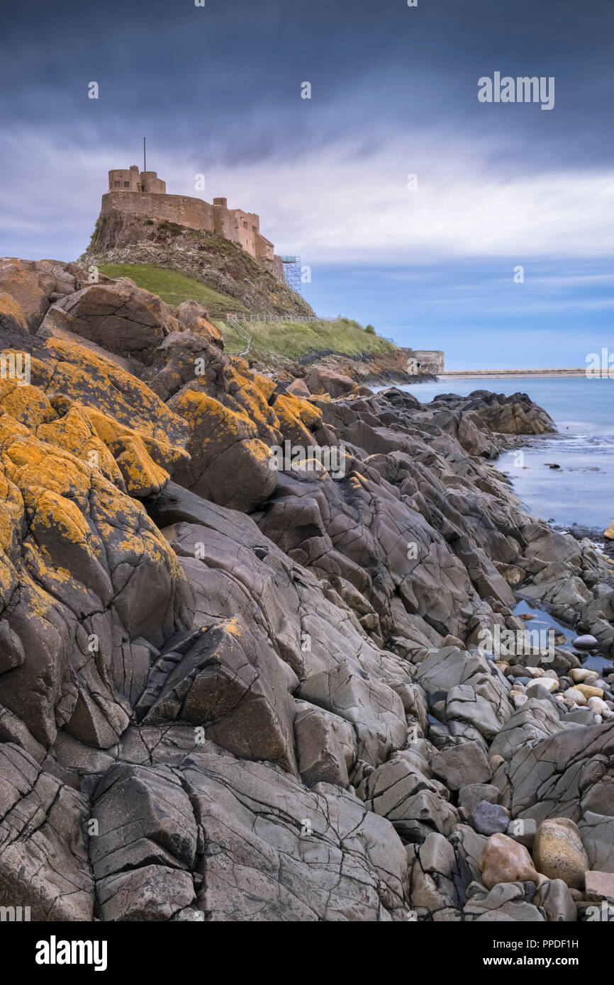 L'Île Sainte de Lindisfarne, avec Château de Lindisfarne, sur la côte de Northumberland, England, UK Banque D'Images