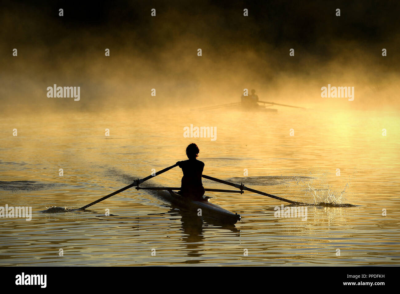 Les rameurs s'entraînent sur la rivière Cam à Cambridge au lever du soleil, comme brume matinale plane sur l'eau. Banque D'Images