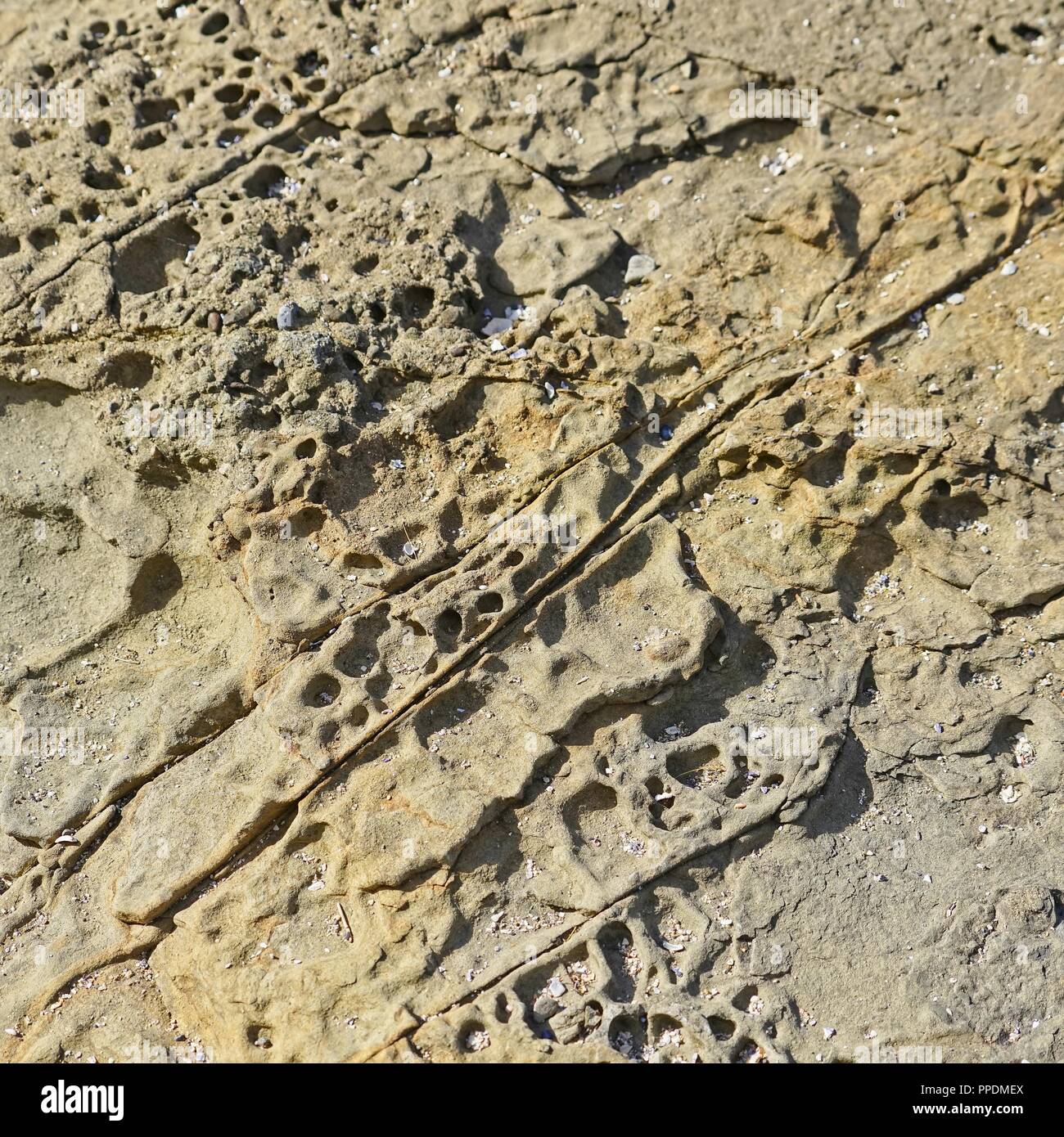 Vague, la mer et les intempéries érodé rock avec piqûres et fissures. Banque D'Images