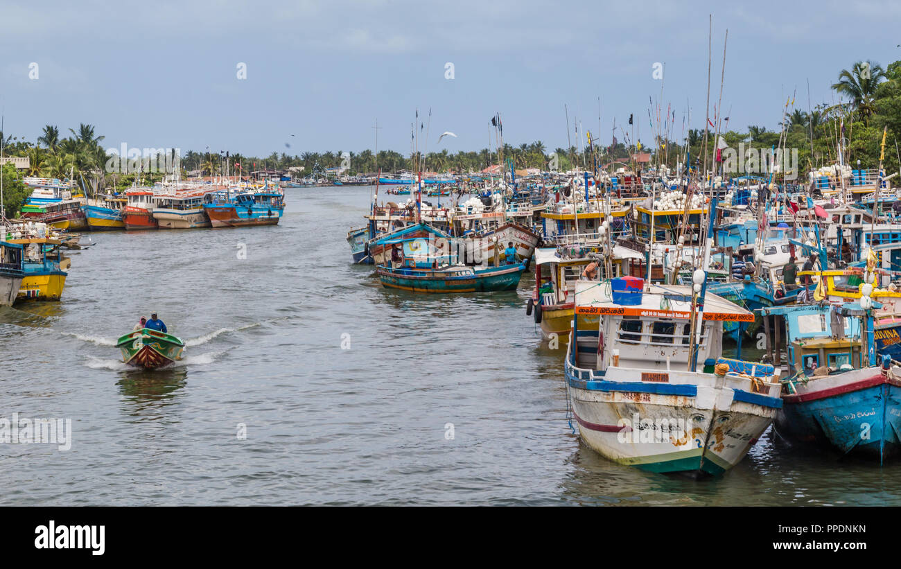 Negombo Sri Lanka 24 Juillet 2017 - bateaux de pêche colorés dans le port de Negombo Banque D'Images