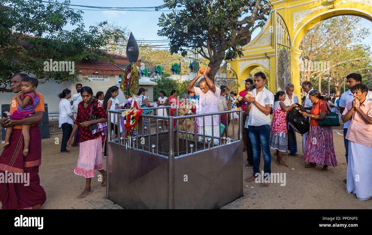 Sri Lanka Bandarawela 02 Août 2017 - rituel hindou casser des noix de coco à Ruhunu Devalaya Kataragama Maha temple complexe au Sri Lanka. Banque D'Images